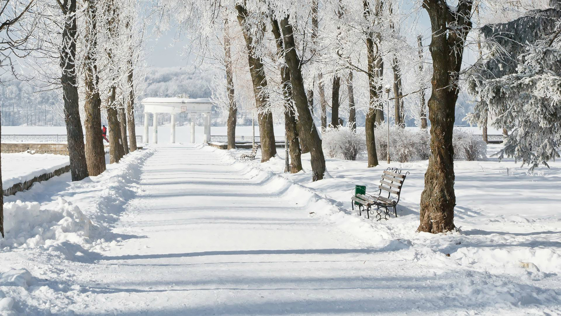 Snowy road in the park wallpaper - Photography wallpapers - #16265