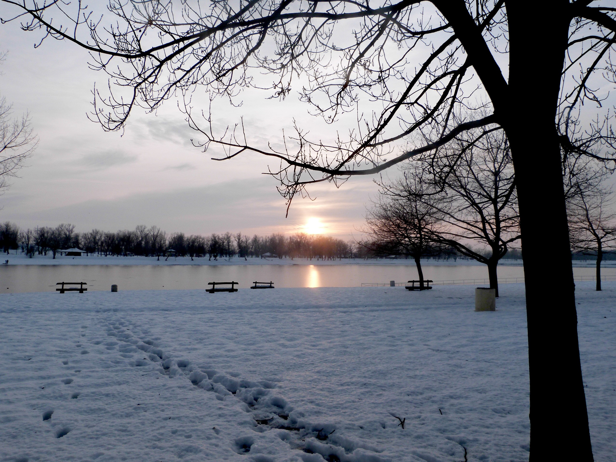 Free Images : landscape, tree, water, horizon, branch, snow, cold ...