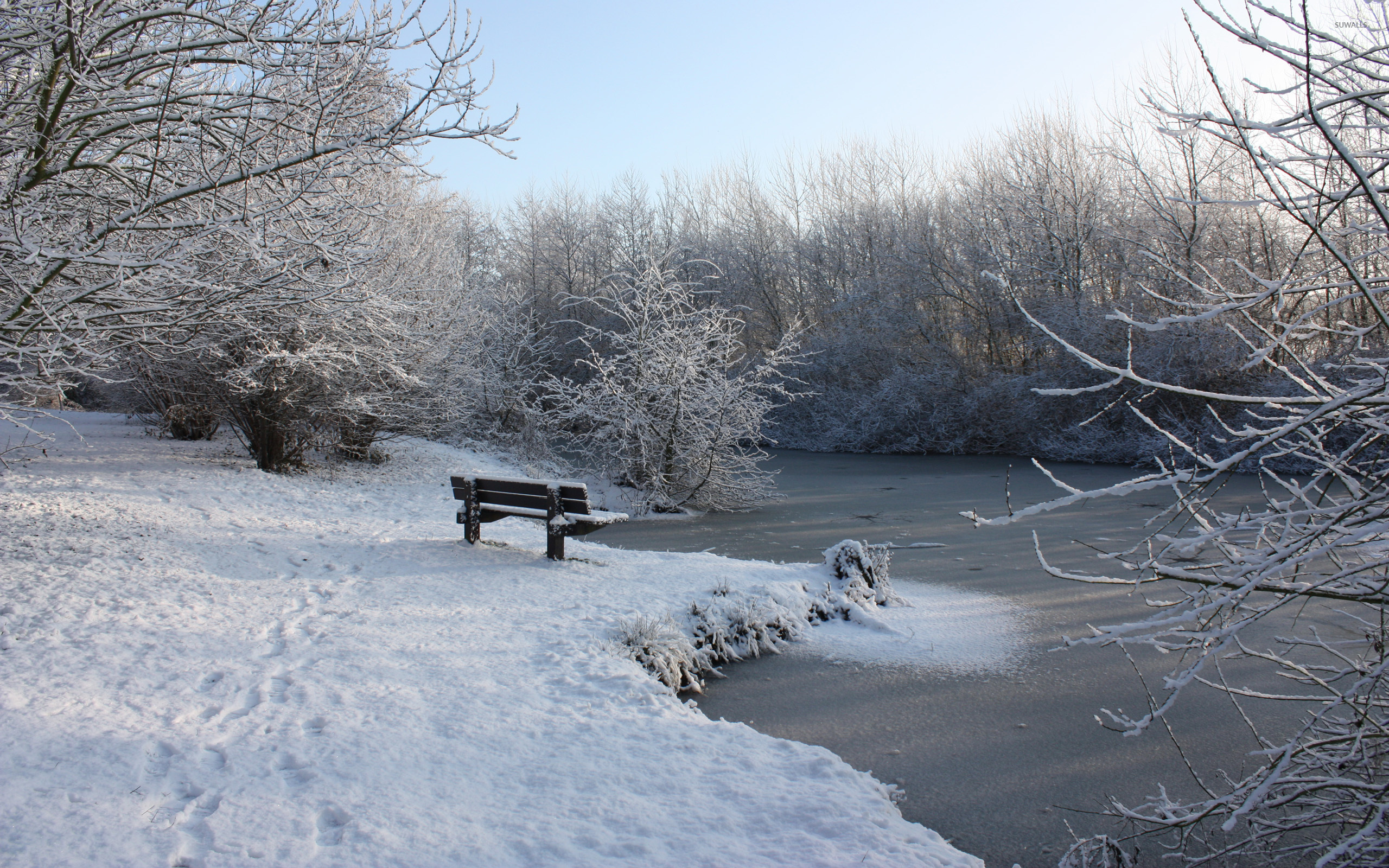 Snowy bench by the frozen river wallpaper - Nature wallpapers - #41345
