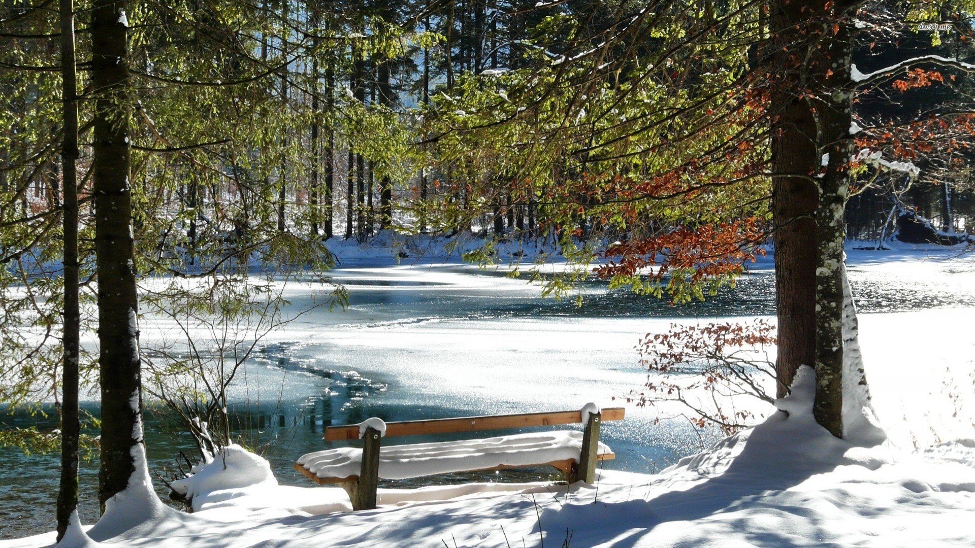 Snowy bench photo