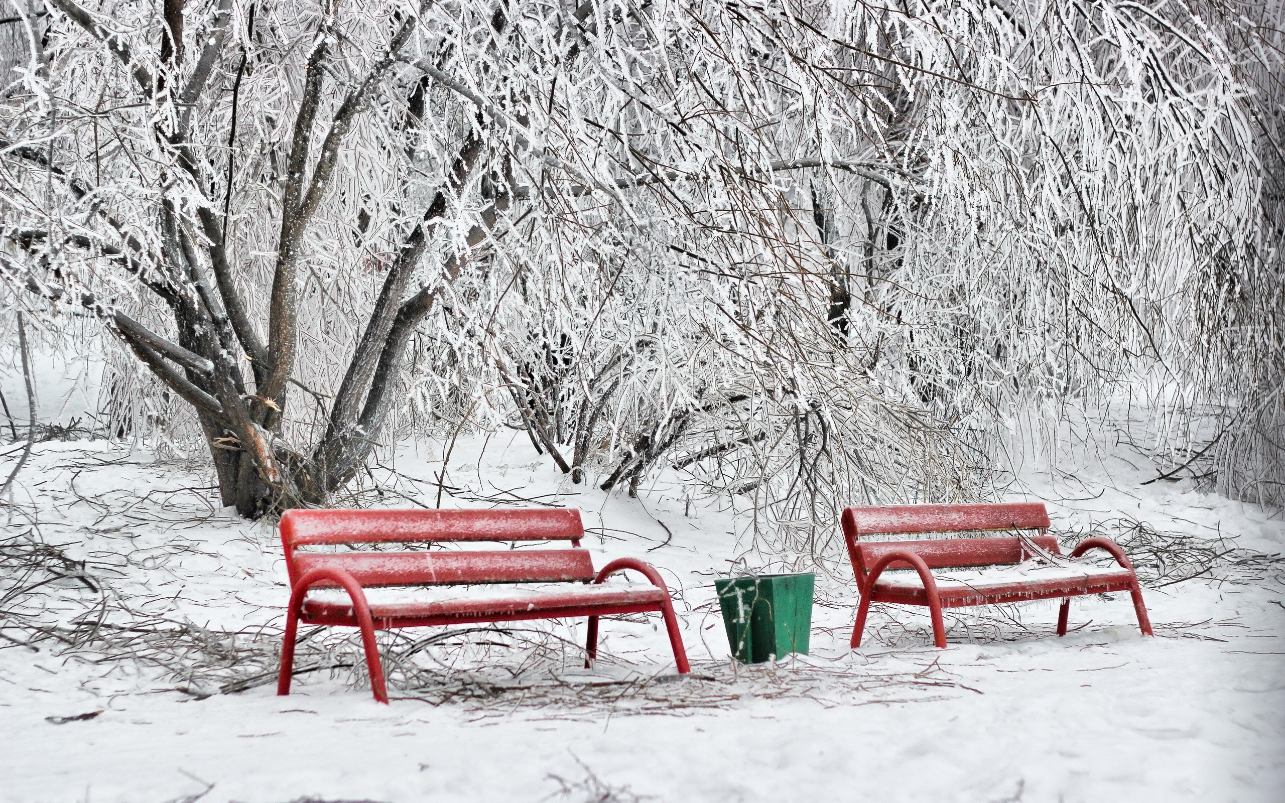Winter: Winter Peaceful Time Tree Red Benches Splendor Nature Trees ...