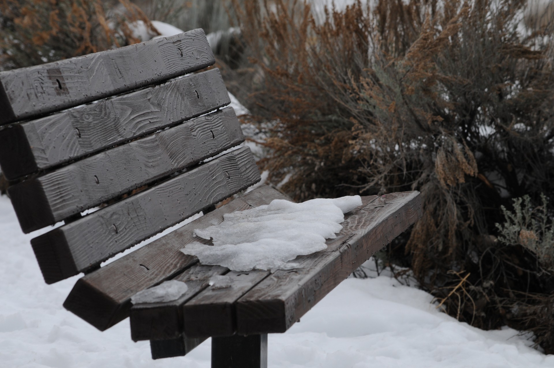 Snowy Bench Free Stock Photo - Public Domain Pictures
