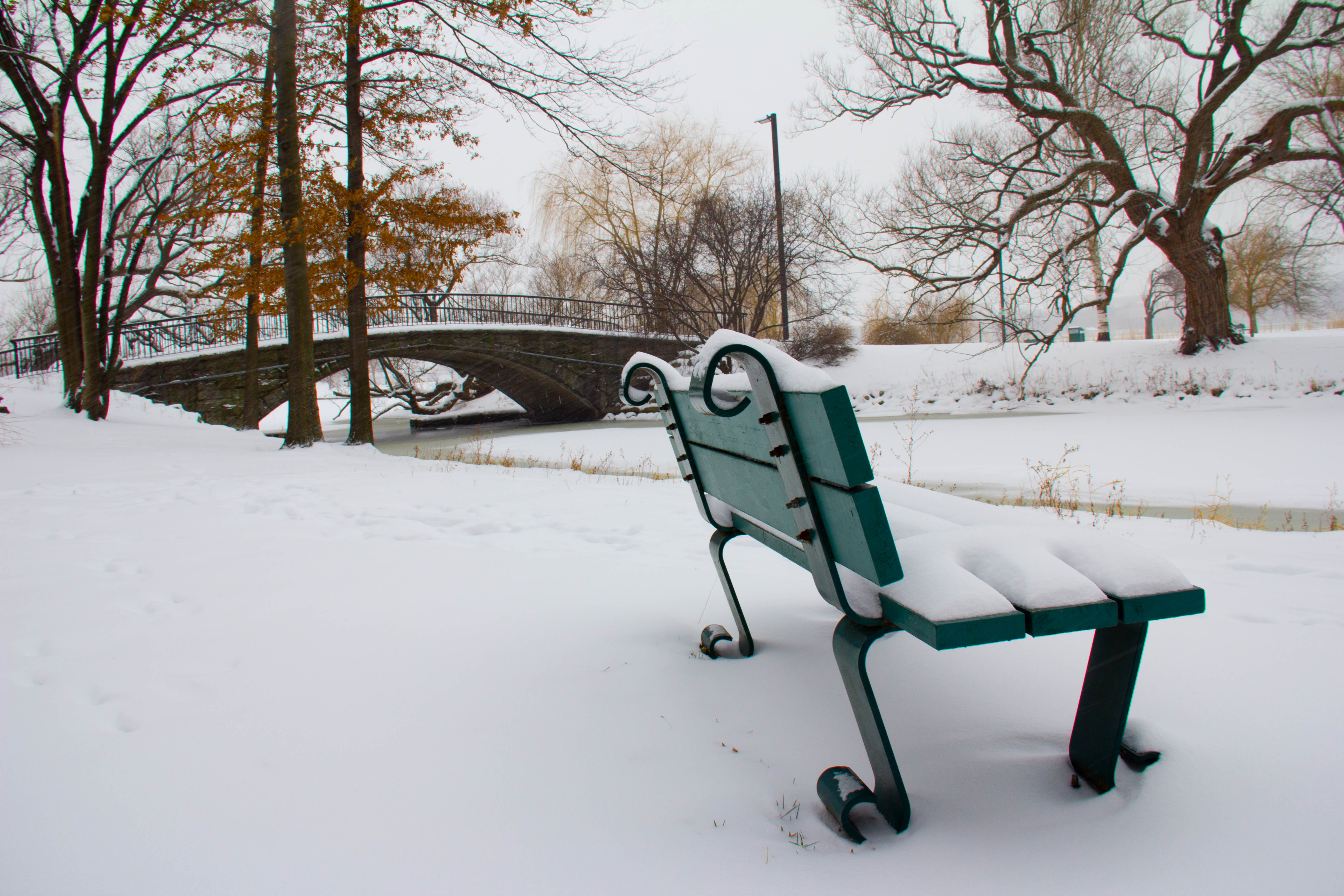 snowy bench on Boston Esplanade - Buy Rent Sell Boston