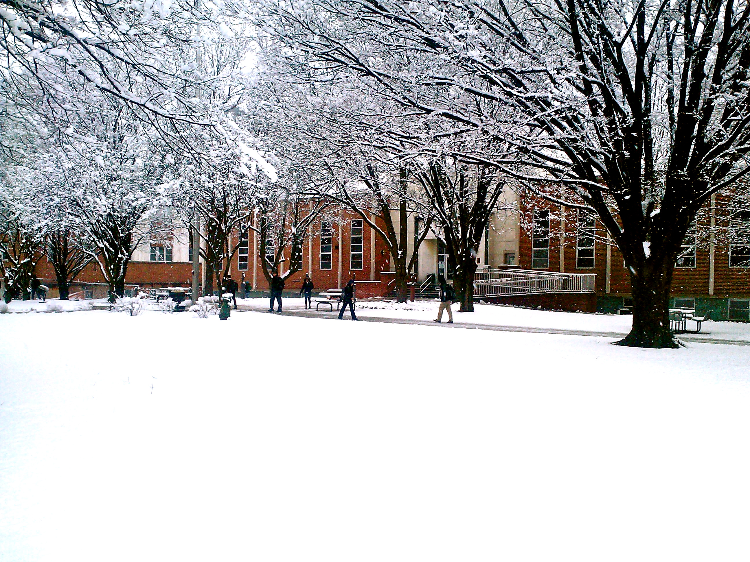 File:Students Walking in Front of Schmidt Library on a Snowy Day.jpg ...