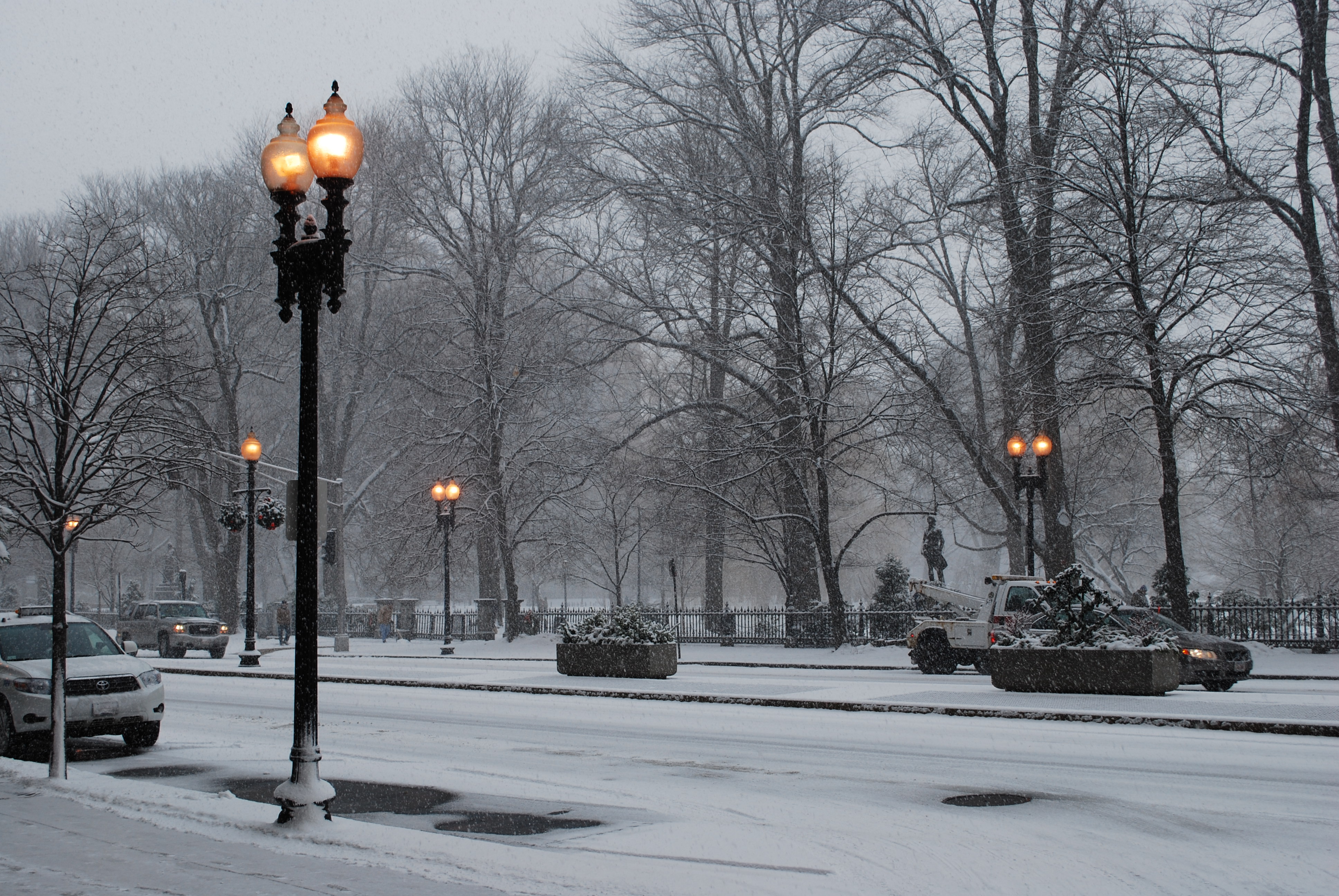 Snowy Day in Boston Common «Amy E. O'Connor Photography Amy E. O ...