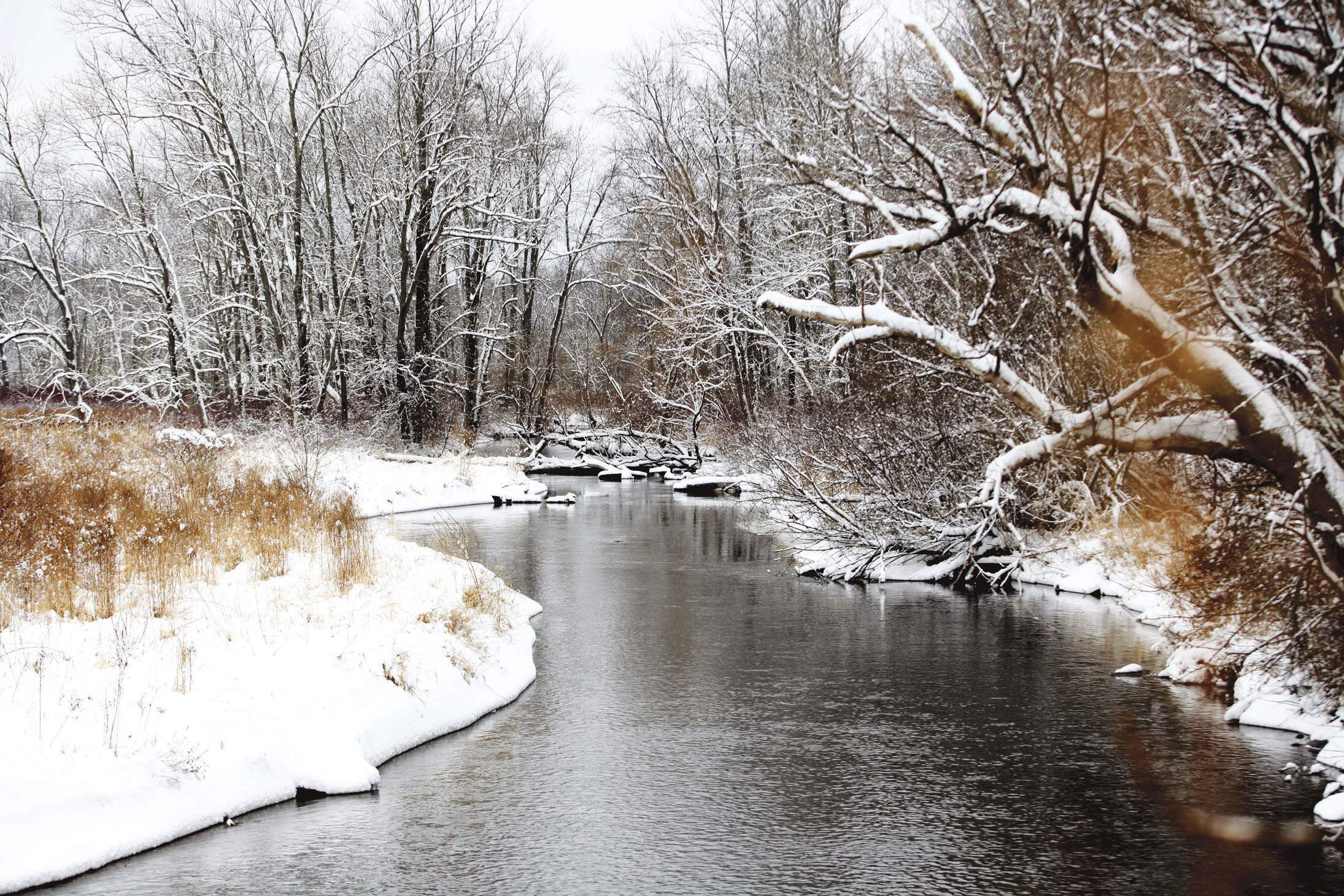 Scenes from a snowy day in Sussex County - New Jersey Herald -