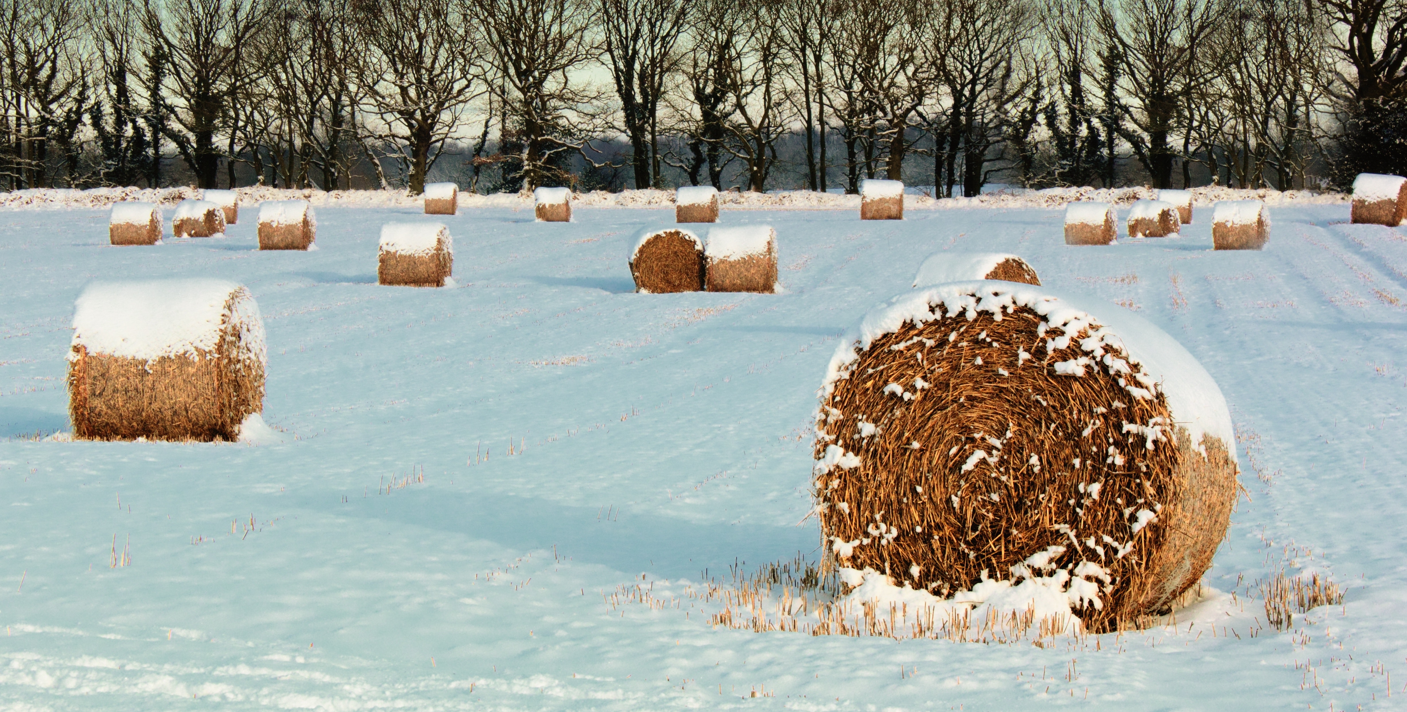 Зимнее сено. Сельское хозяйство зимой. Стог снега. Сено зимой. Стога зимой.