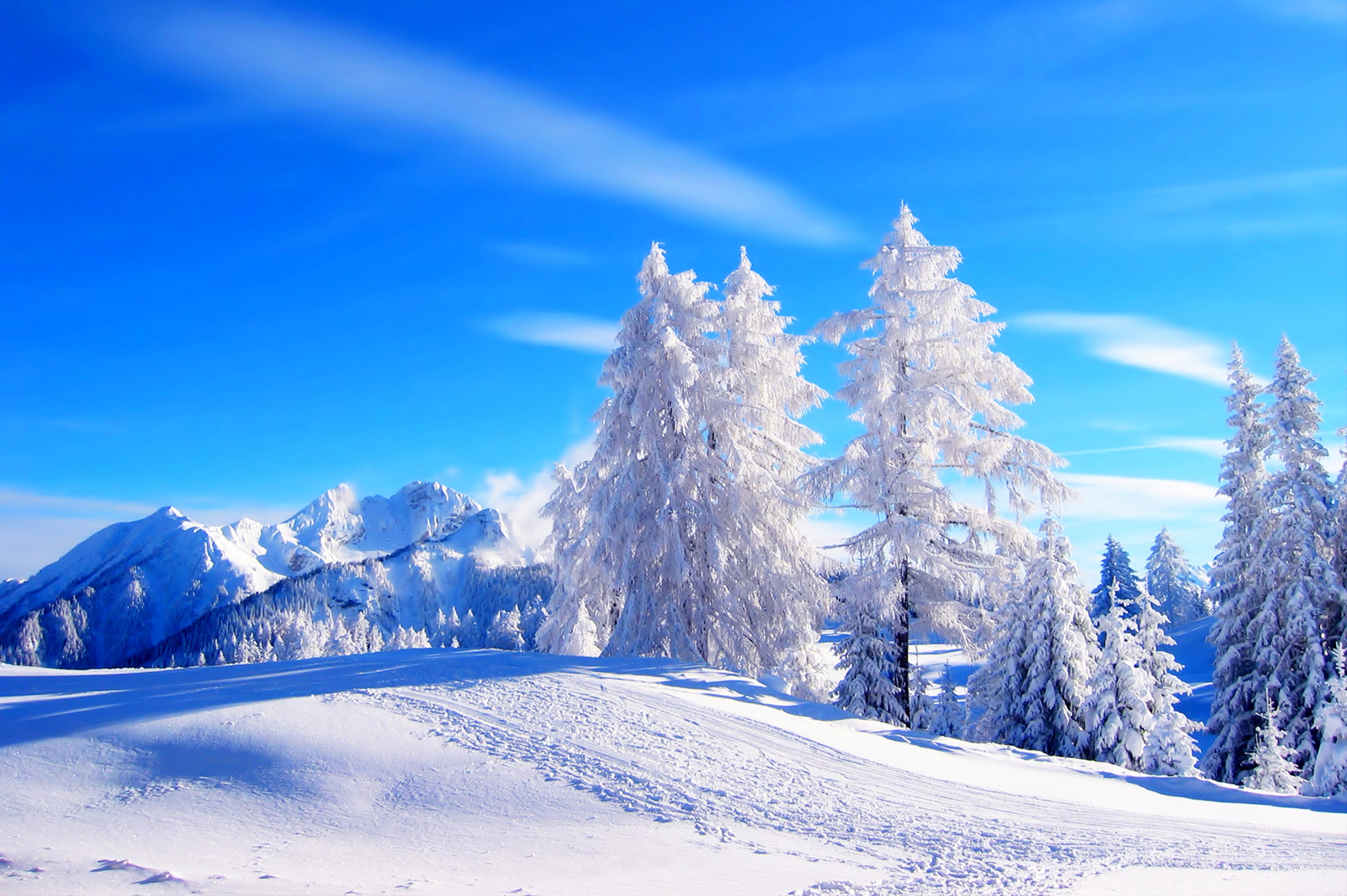 Winter: Nature Snowy Snow Time Winter Landscape Mountains Trees Hd ...