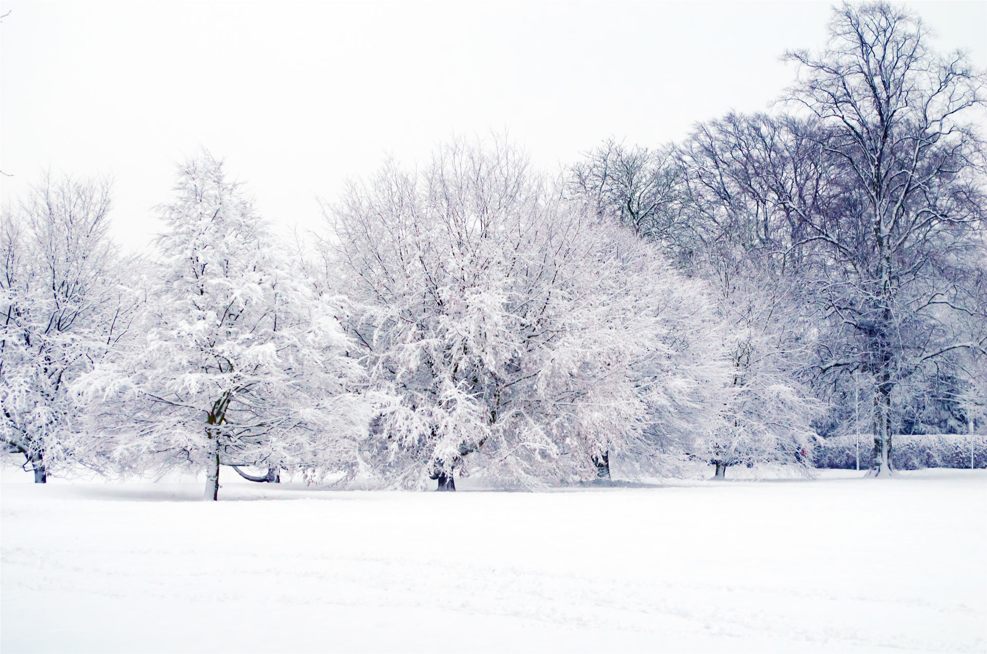 Free photo: Snowy landscape - Ice, Landscape, Snow - Free Download - Jooinn