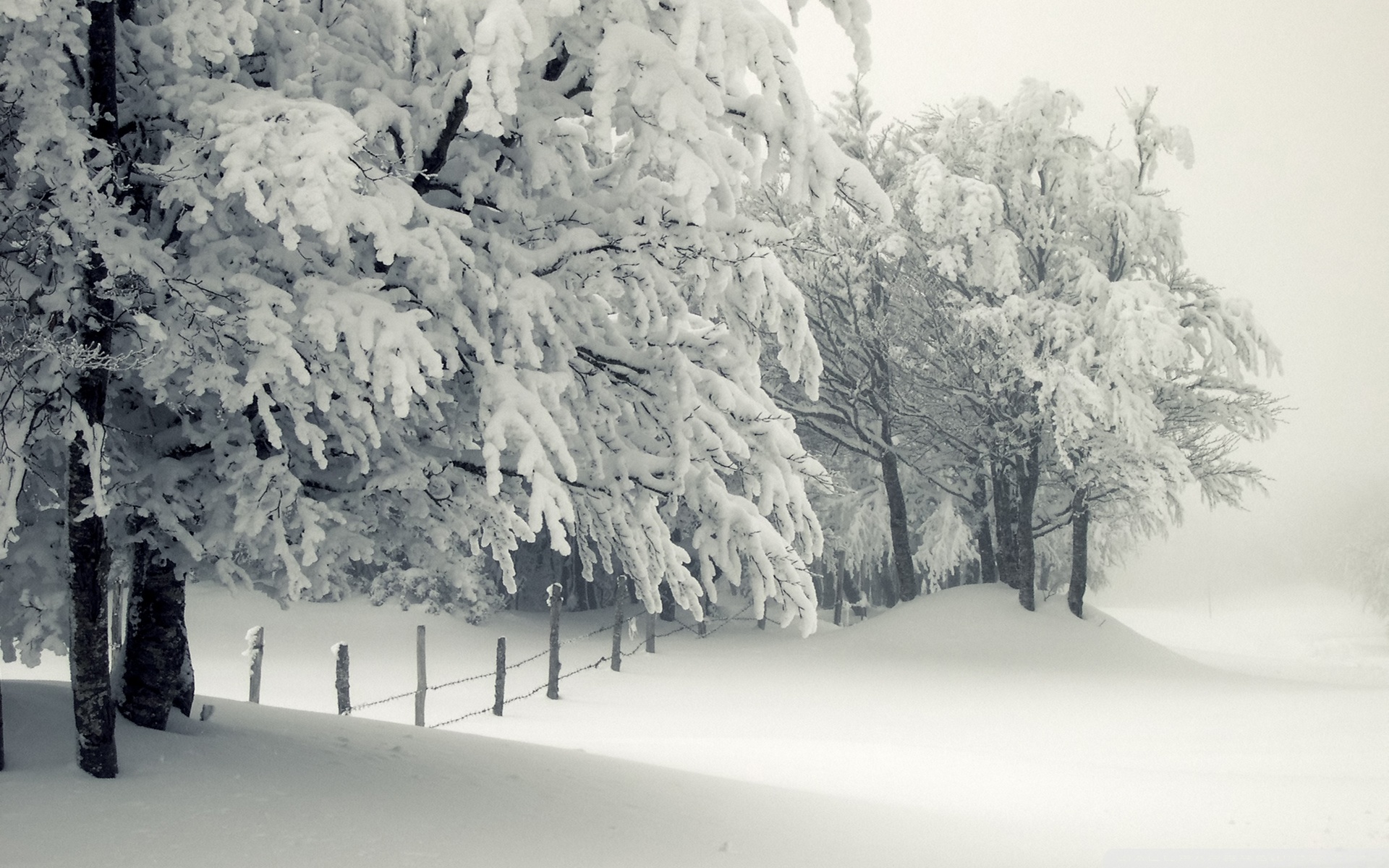 Snowy Landscape ❤ 4K HD Desktop Wallpaper for 4K Ultra HD TV ...