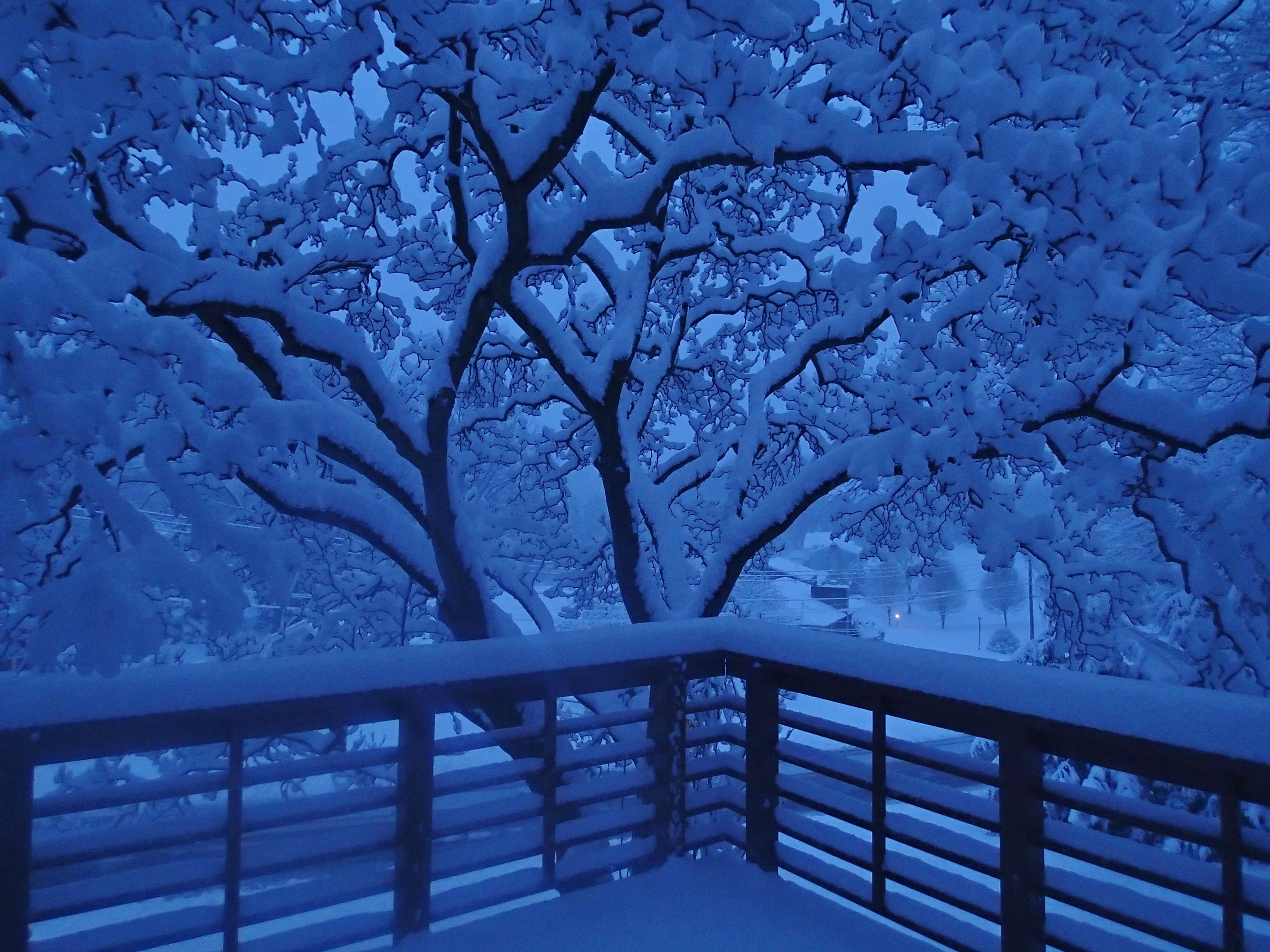 Blue snowy morning - Imgur