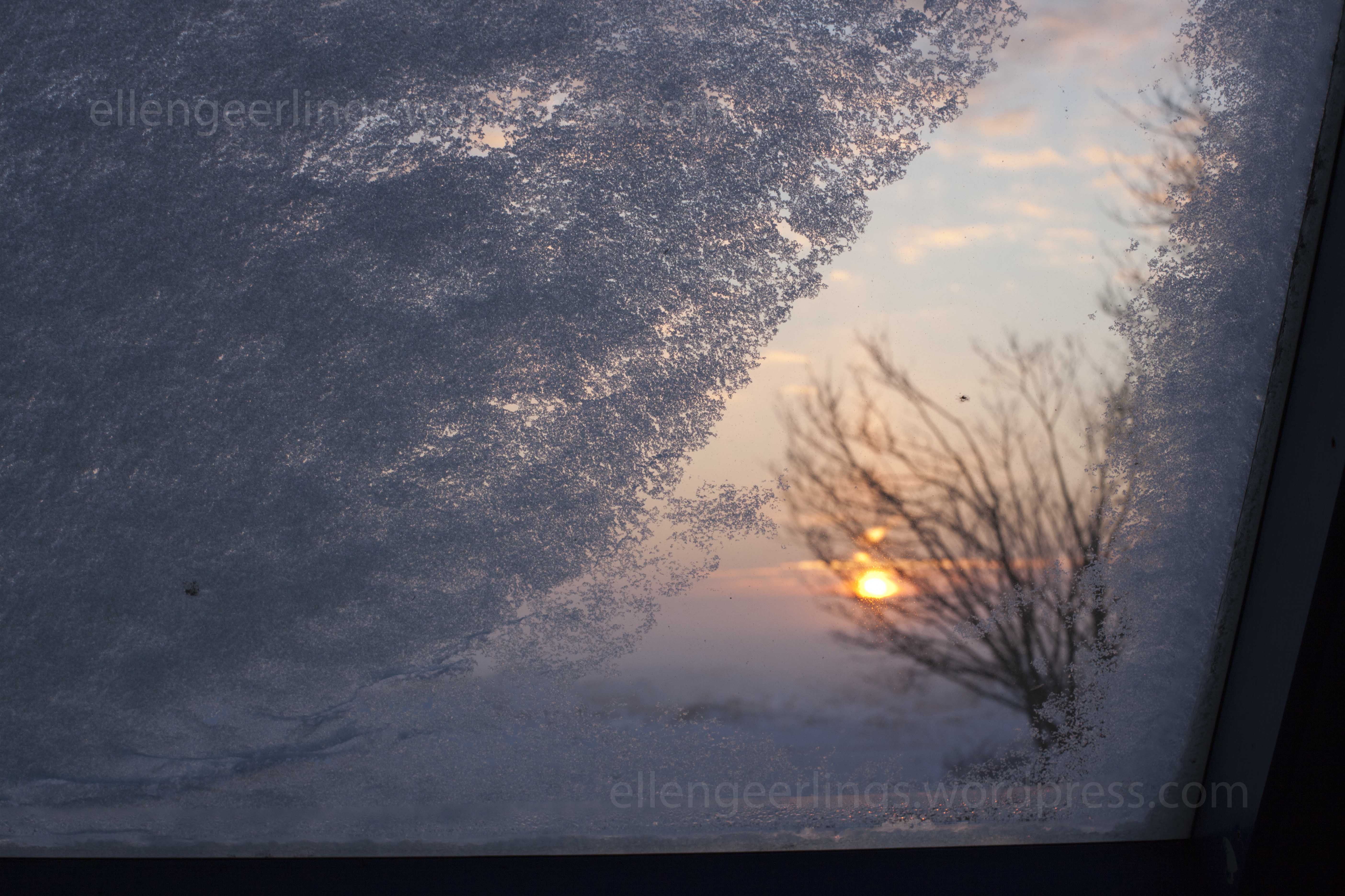 A beautiful snowy morning | Ellen Geerlings's Blog
