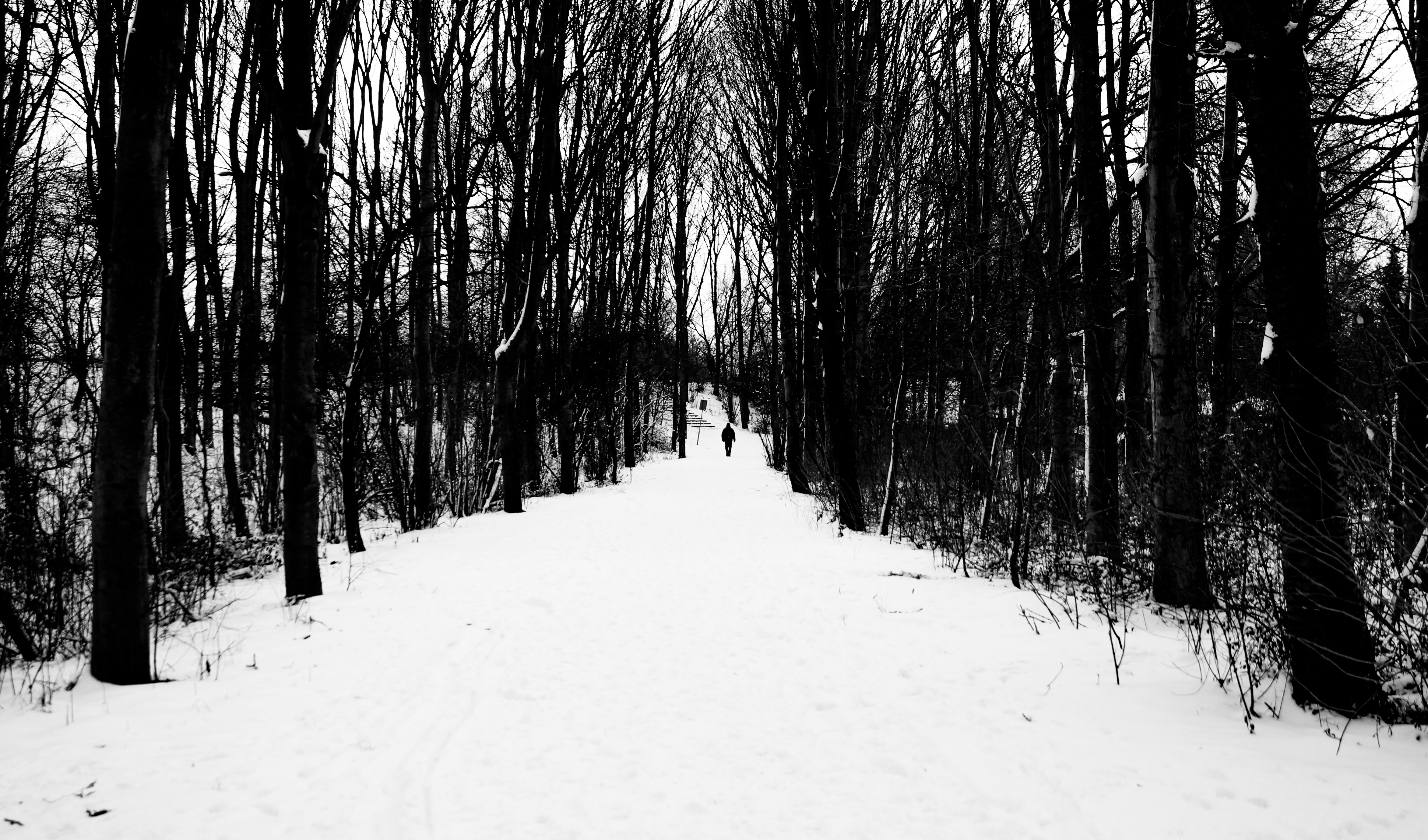 Snowy Path by bvbodegom on DeviantArt