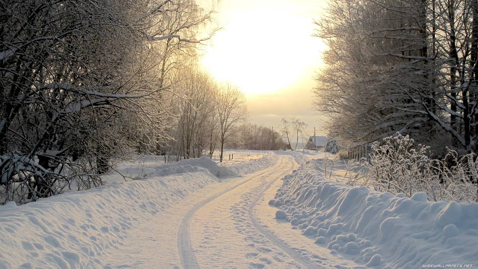 Snowy road [2] wallpaper - Photography wallpapers - #16816