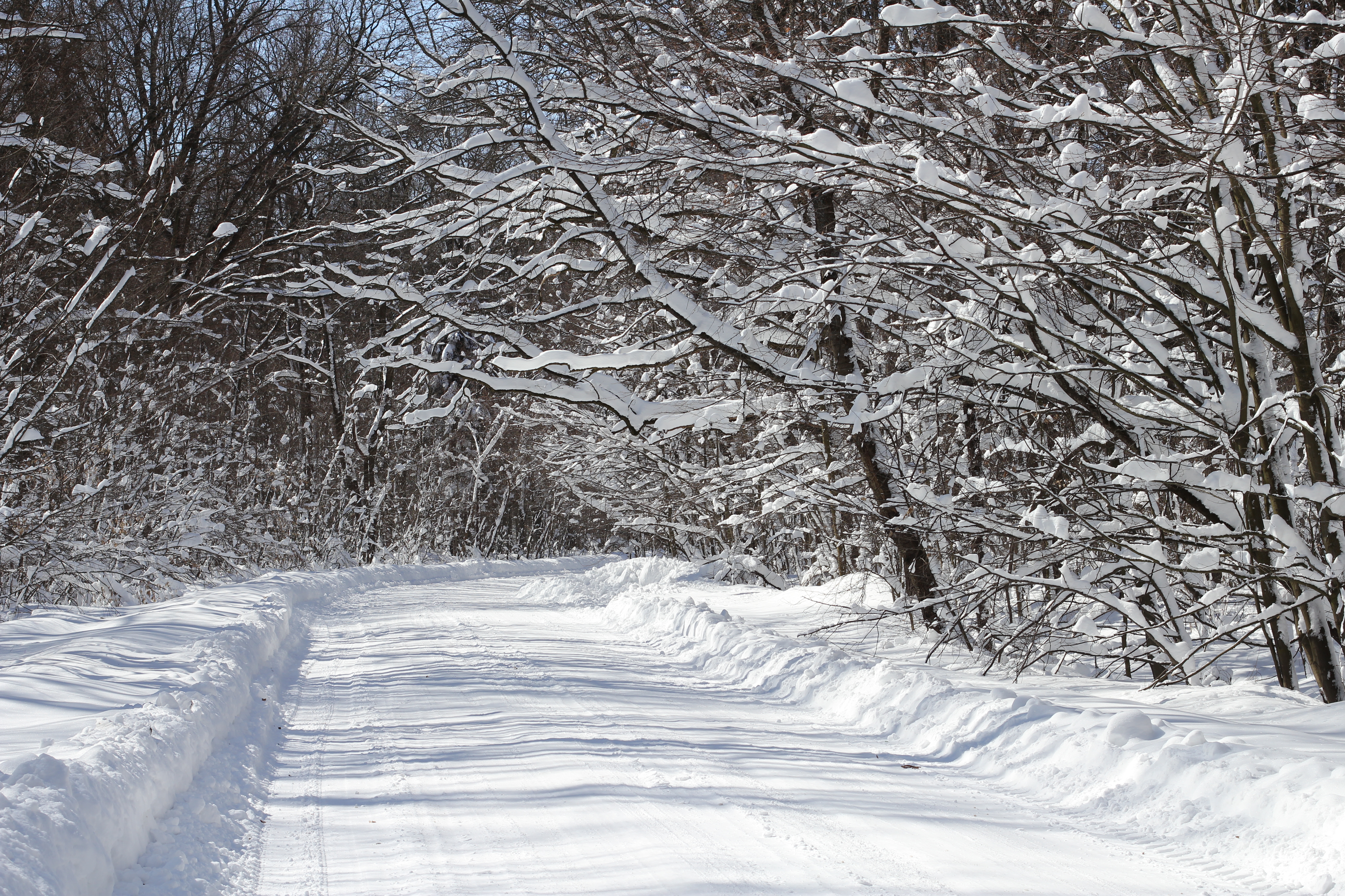 File:Snowy road Sosonka 2013 G1.jpg - Wikimedia Commons