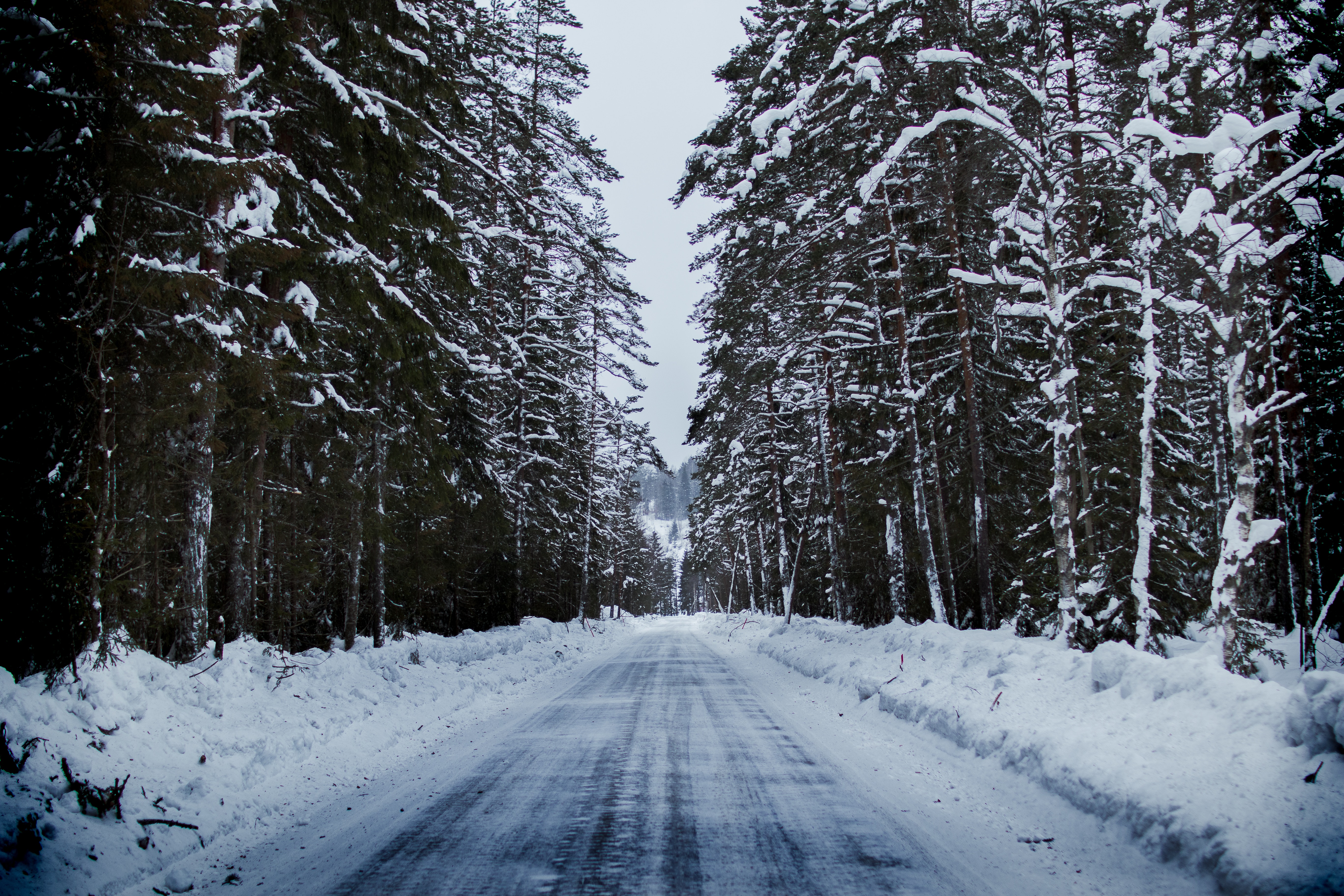 Snowy road between trees photo