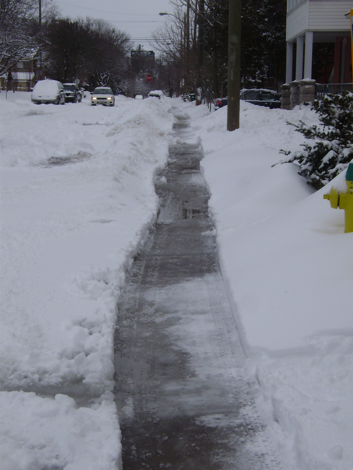 ERIC DARWIN: Good Neighbours on Snowy Sidewalks - Spacing Ottawa