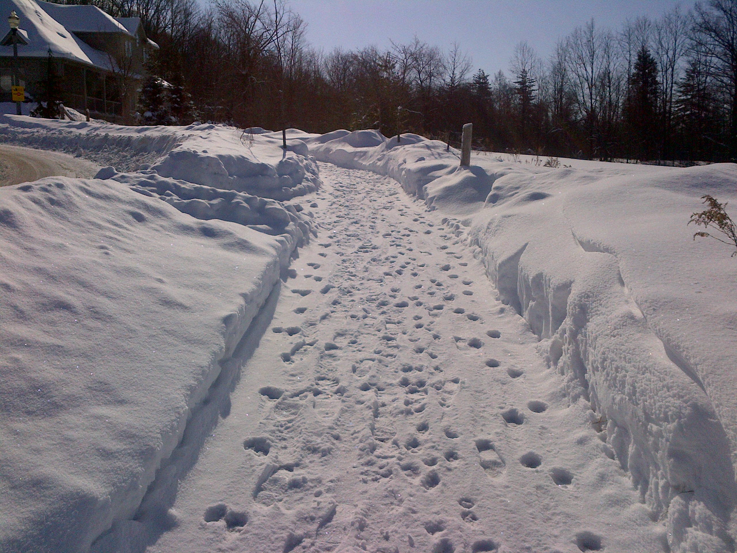 Thank You for Shoveling Your Sidewalk :) | Out Running