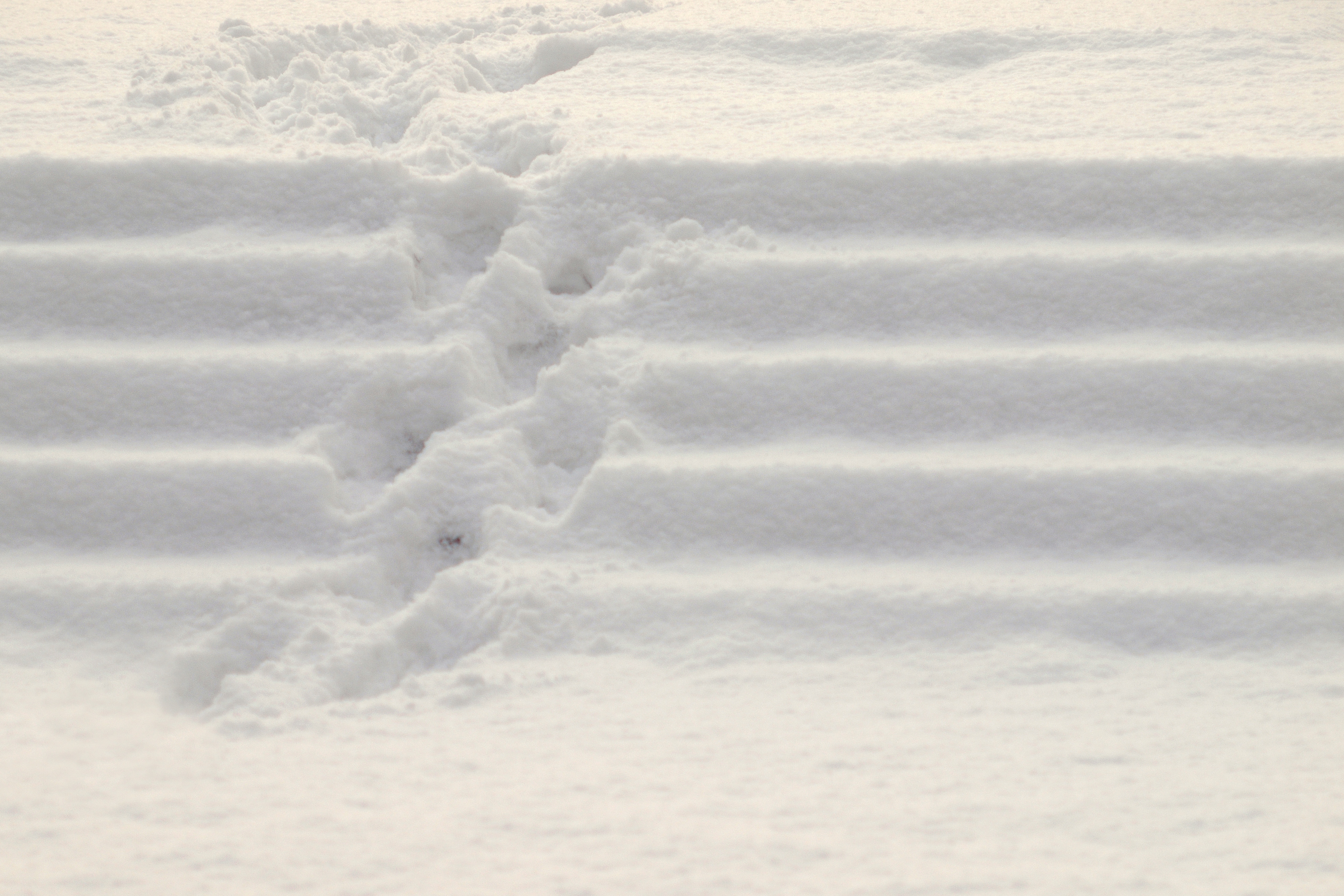 Appellate Court Holds School Not Liable for Snowy Slip-and-Fall ...
