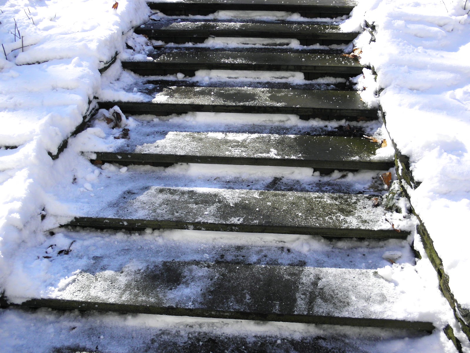 Snowy steps photo