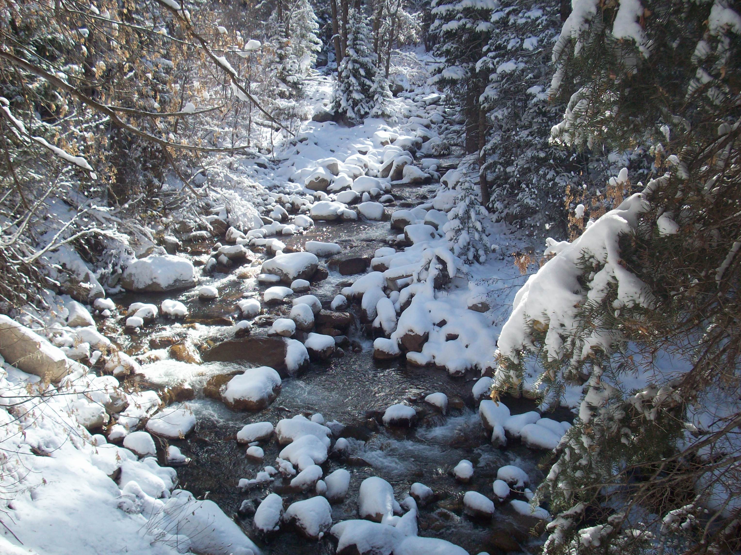 snowy stream | Scott's Place...Images and Words