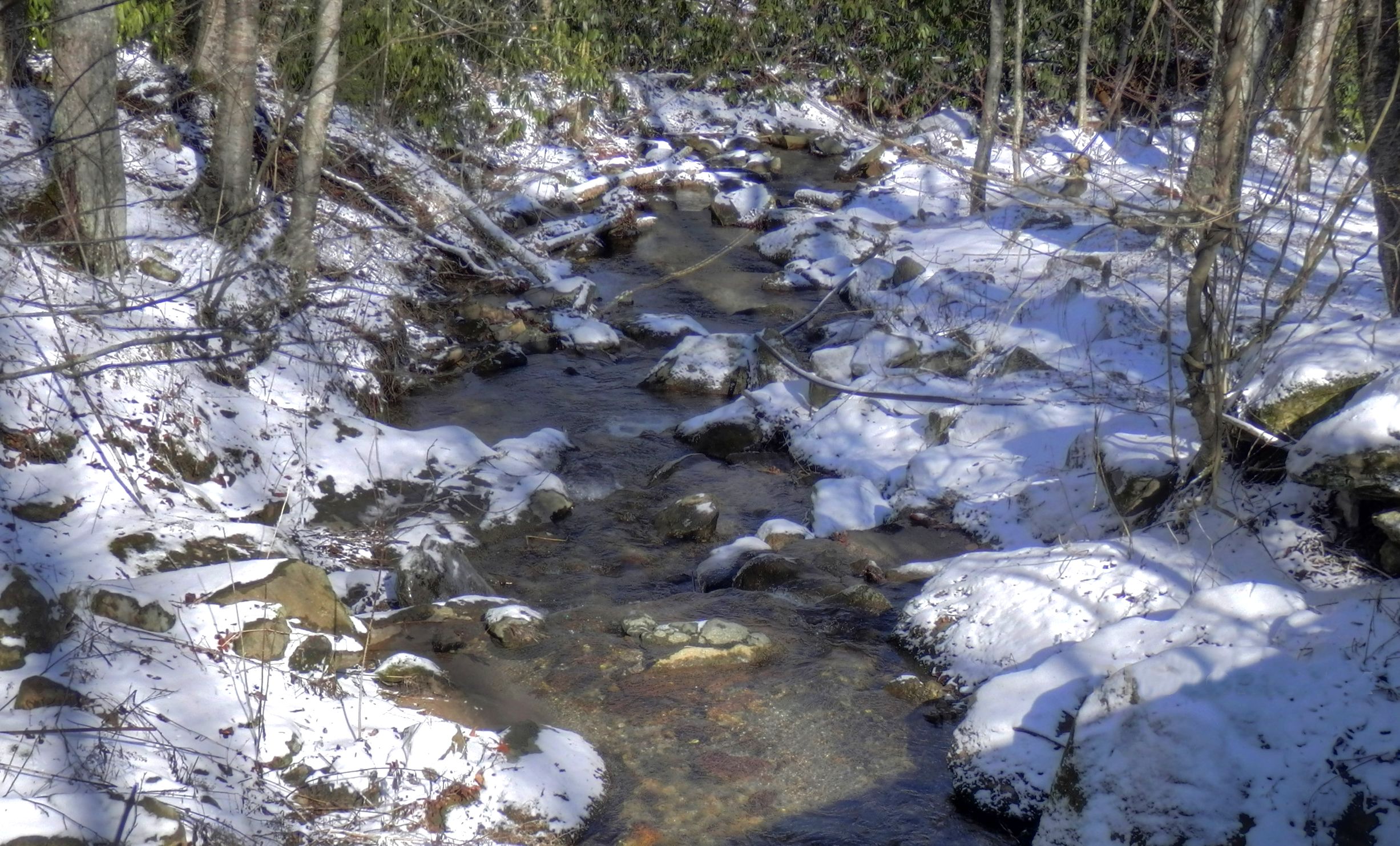 Snowy Stream | Living in The Blue Ridge Mountains of North Carolina ...