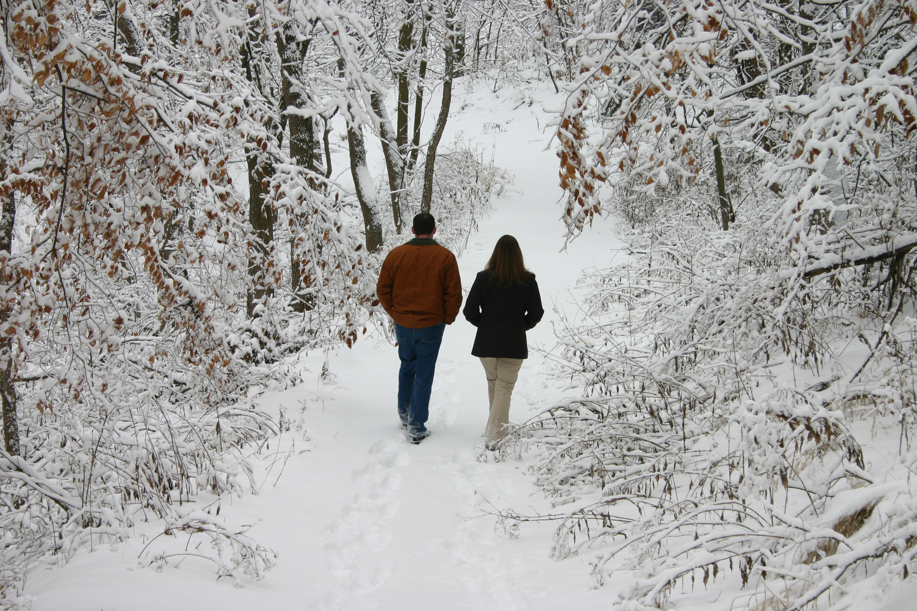 Пара на прогулке в зимнем лесу