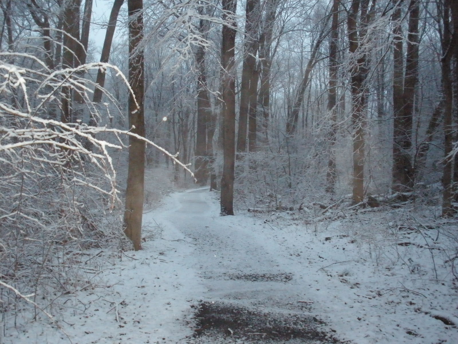 Life is Good : ): A snowy walk