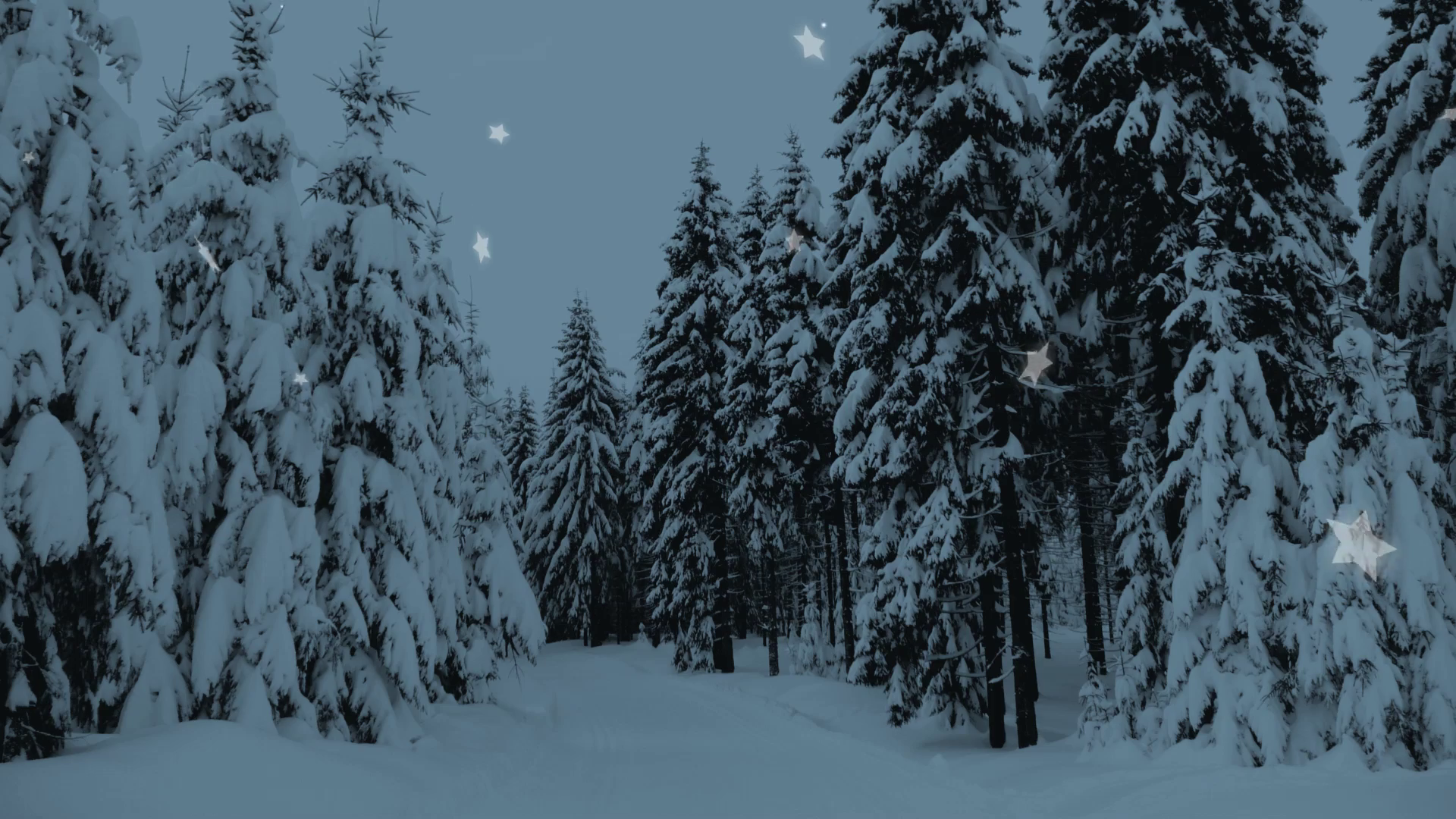 Winter snowy forest with snow covered trees, falling snow and stars ...