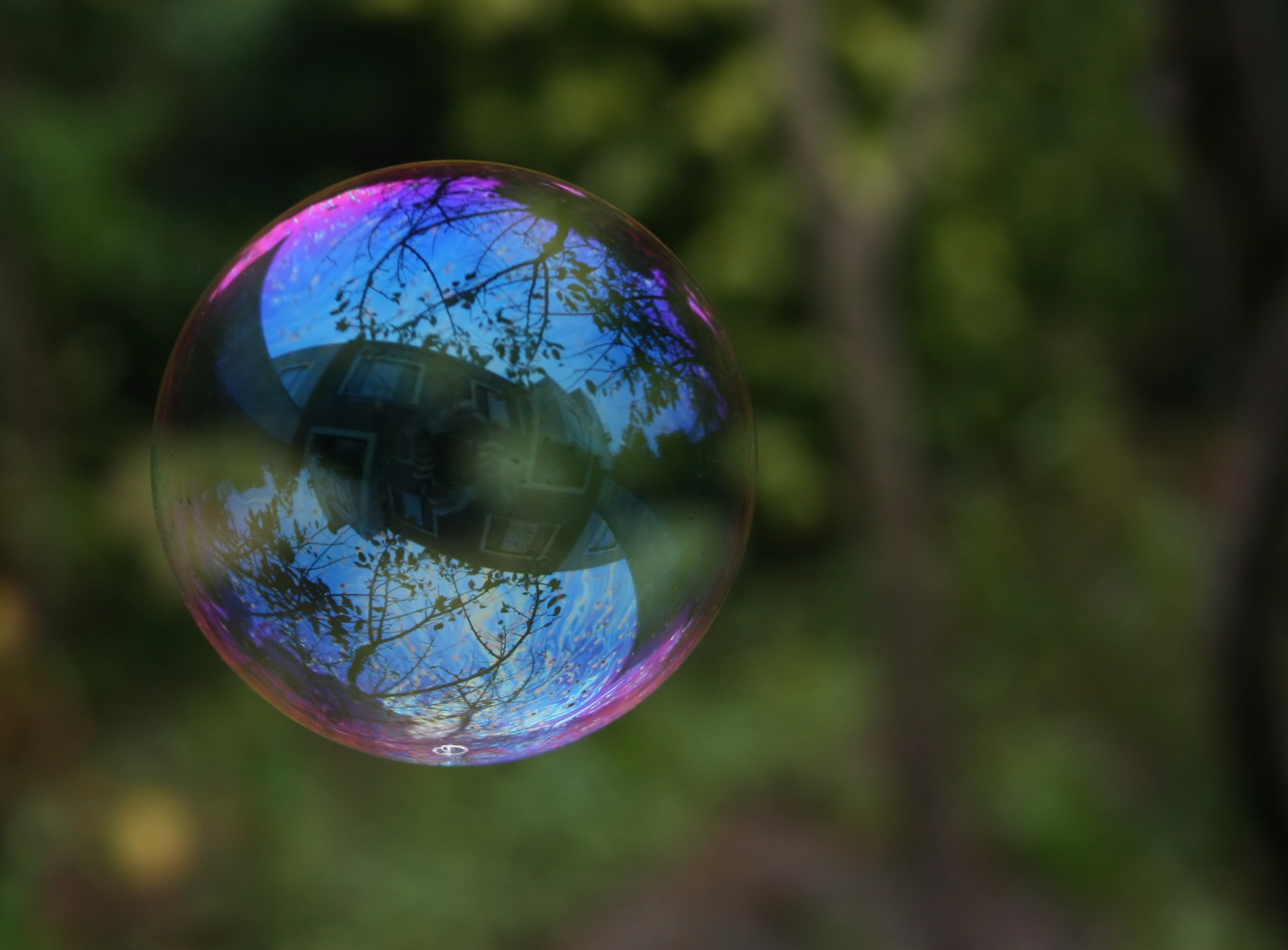 File:Reflection in a soap bubble.jpg - Wikimedia Commons