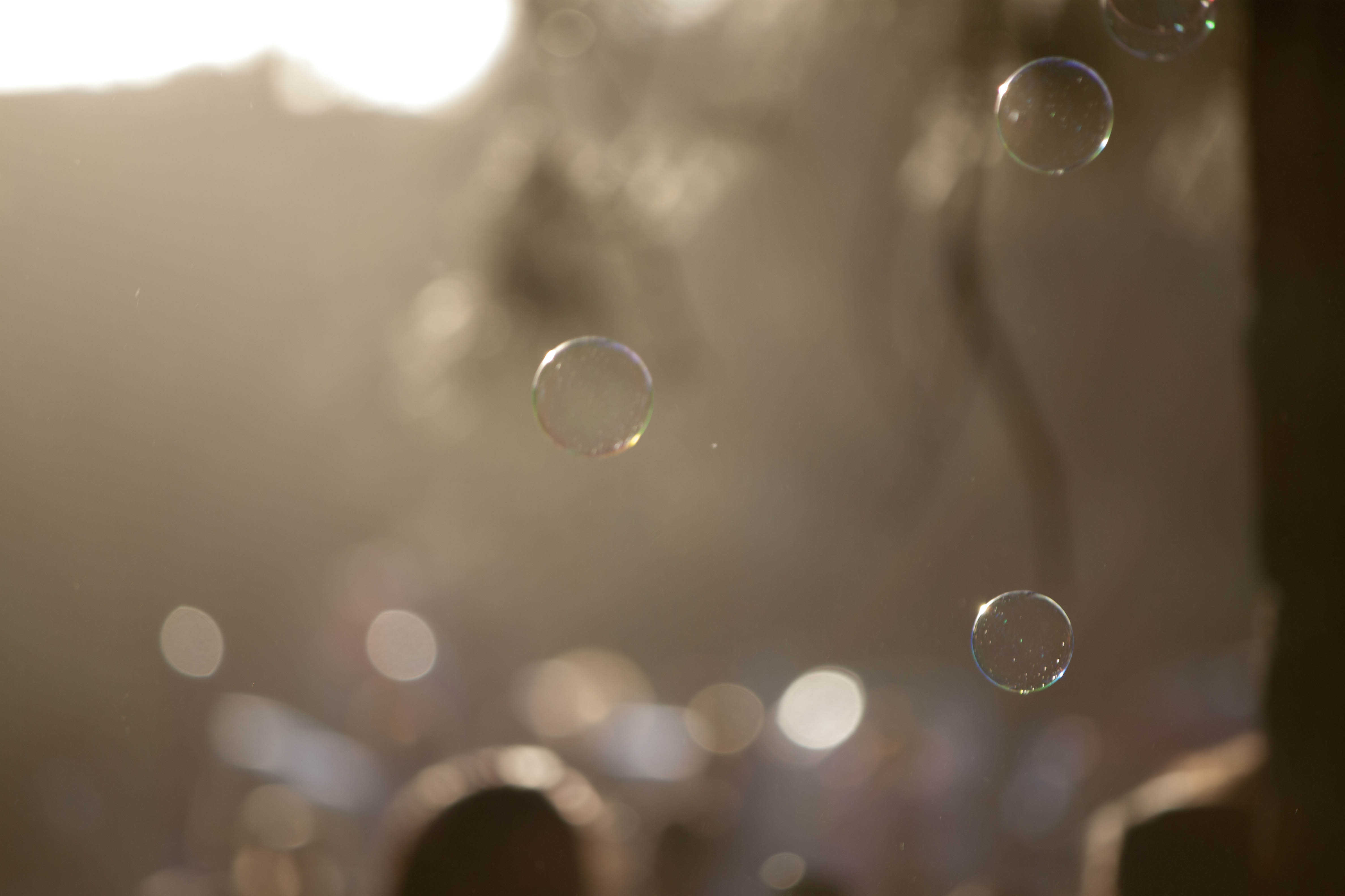 Soap bubbles in the air photo