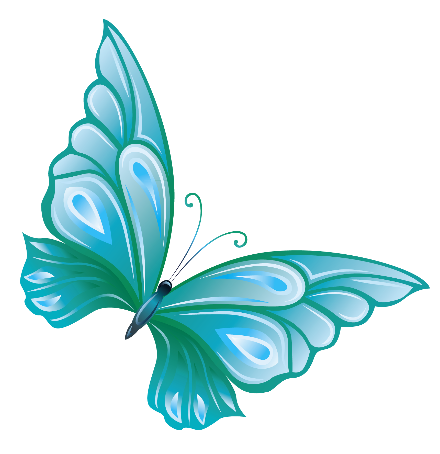 Soft blue butterfly photo