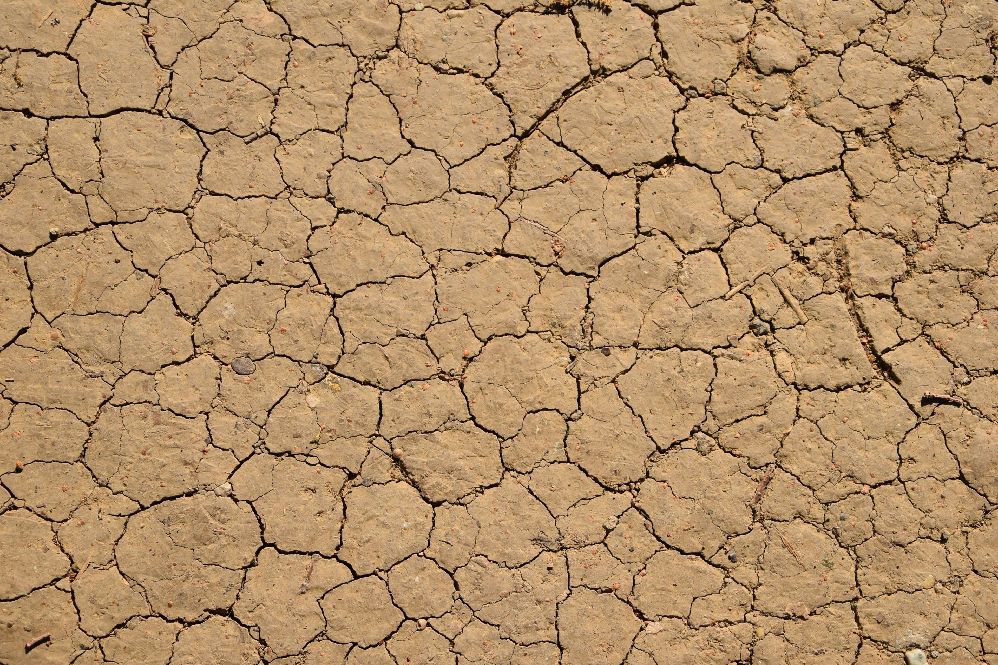 brown #dirt #earth #ground #land #nature #soil #surface #texture ...