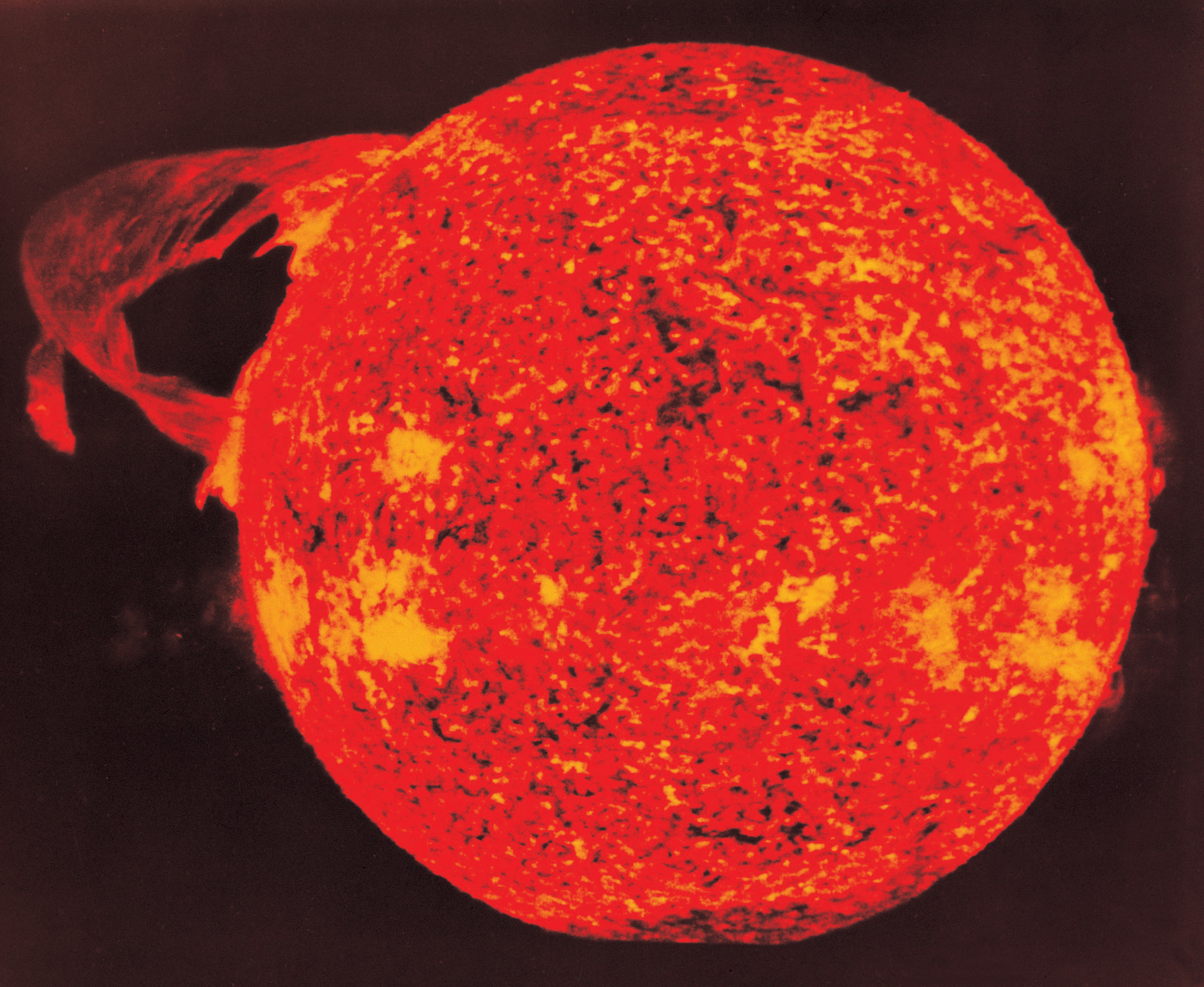 NASA Comes Clean: Solar Flare Nearly Decimated Earth's Electrical ...