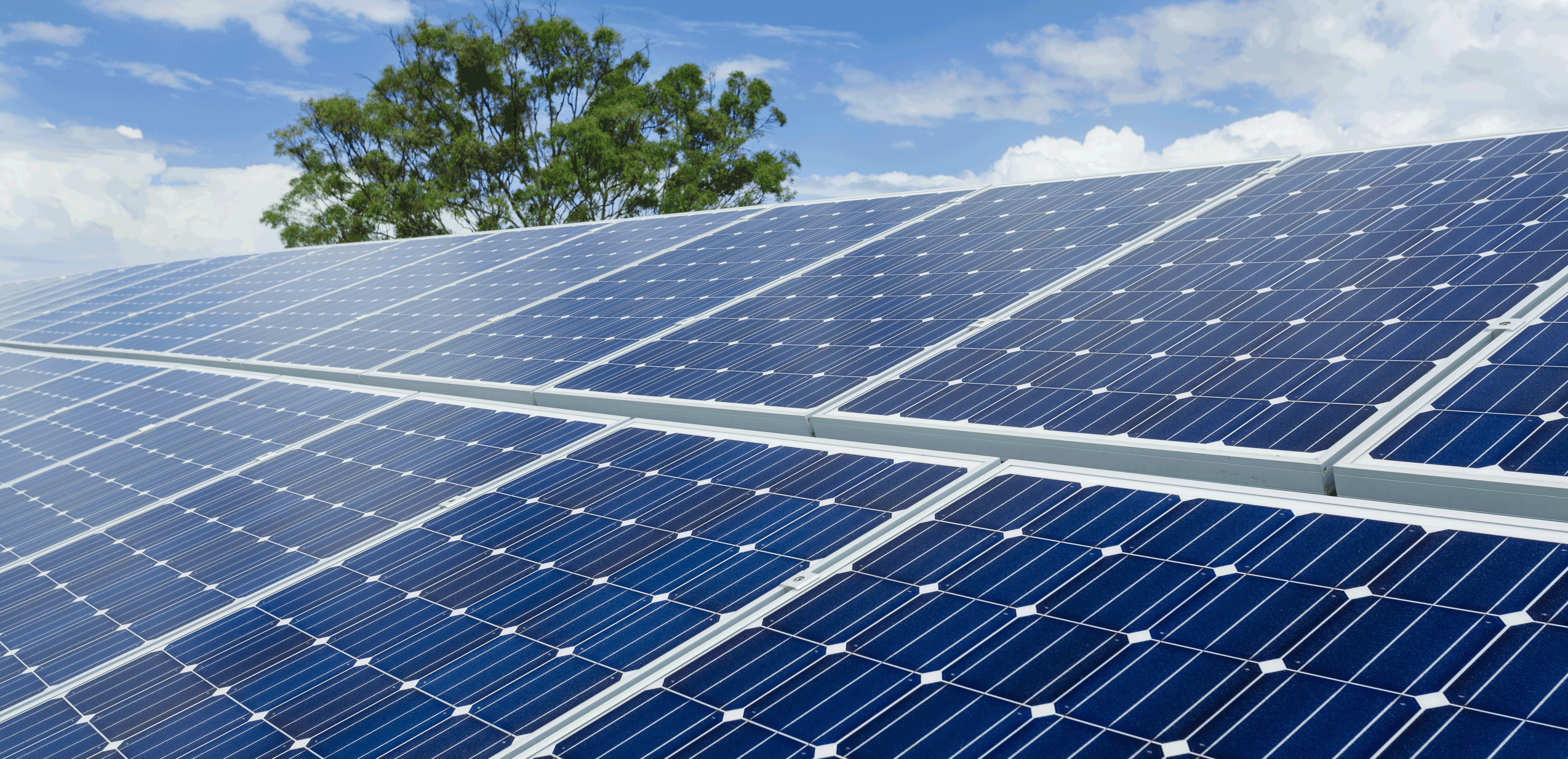 solar panels – BioShine, Inc.