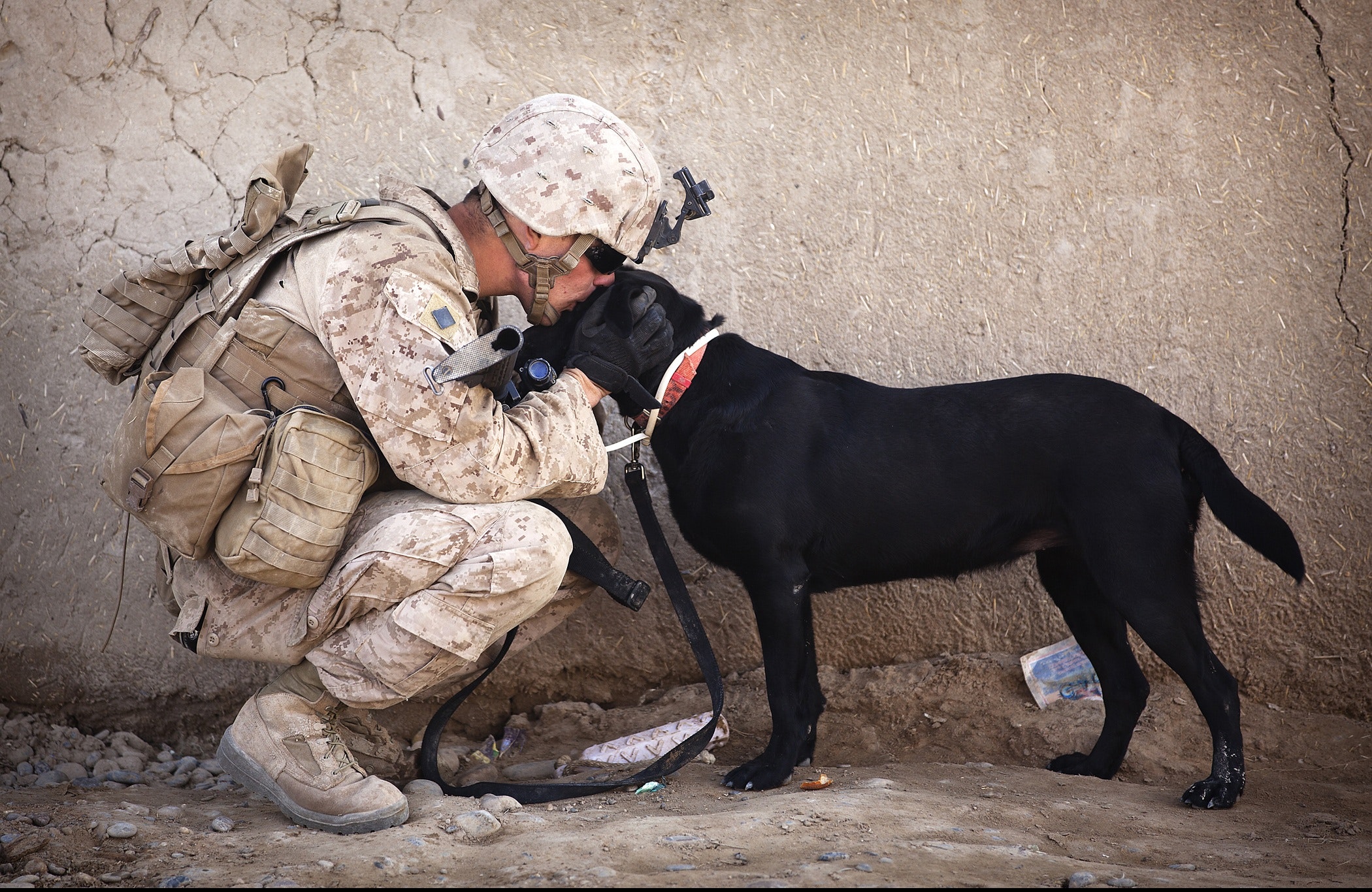 Soldier and black dog cuddling photo