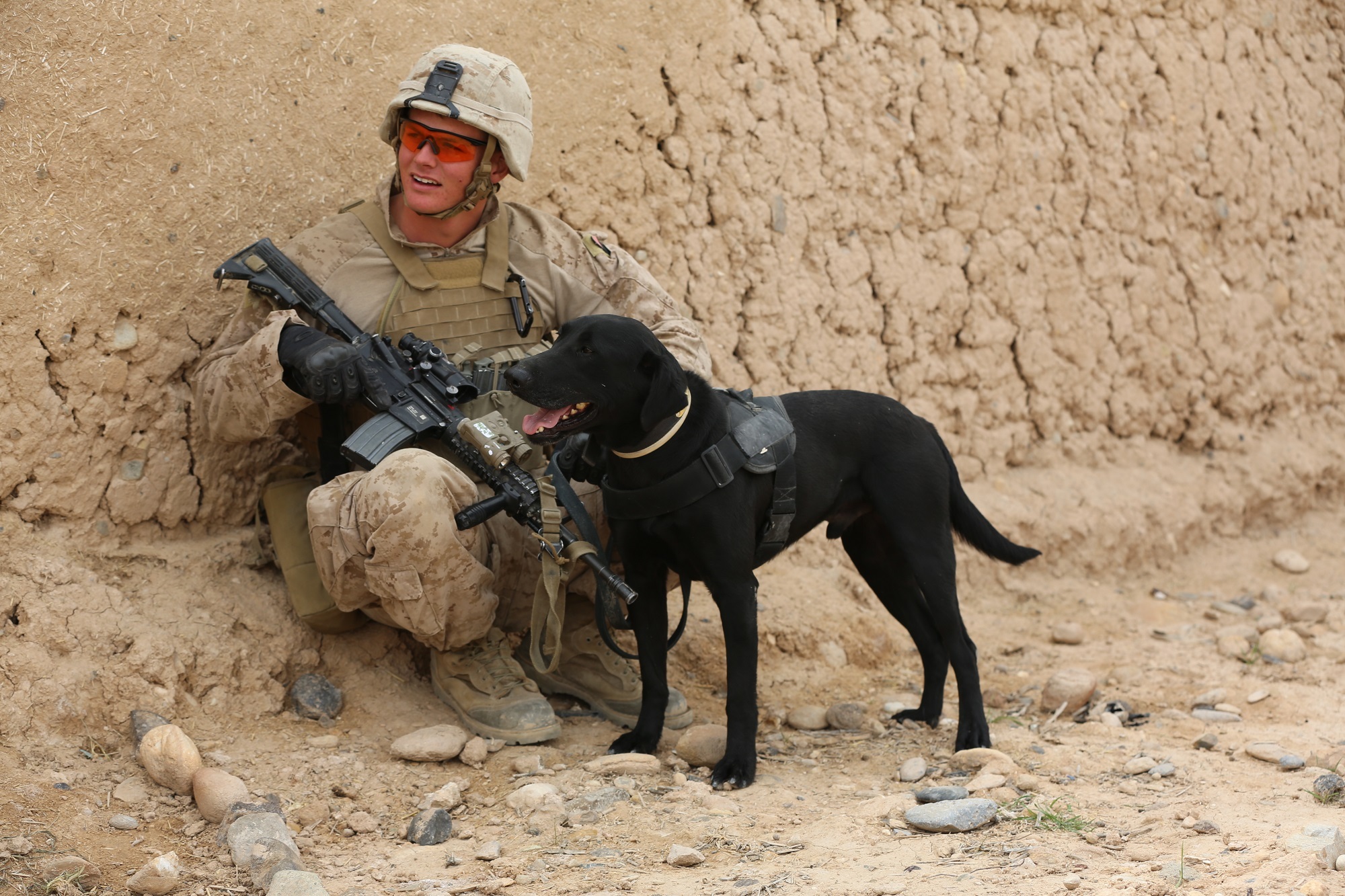 Solider with dog photo