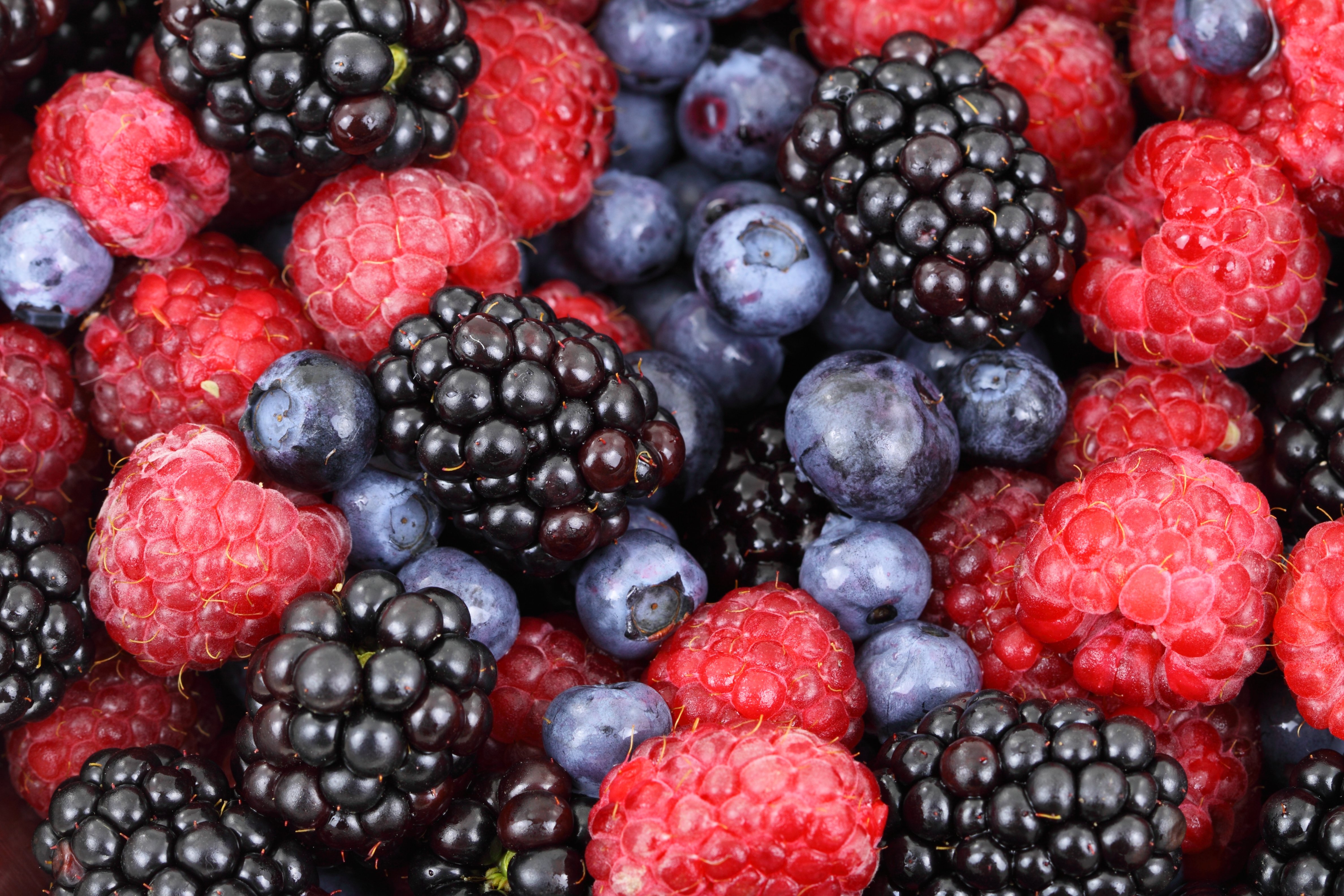 More Wisdom | Lesser Known Berries That You Should Try - More Wisdom
