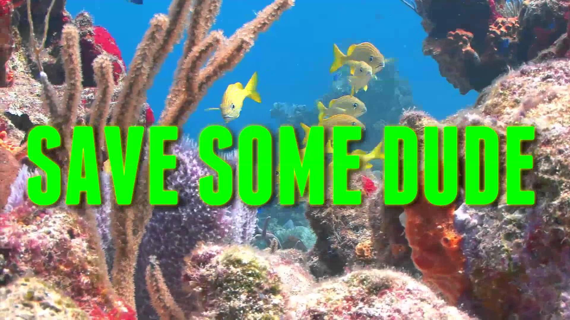 Save Some For The Fishes Lyric Video - YouTube