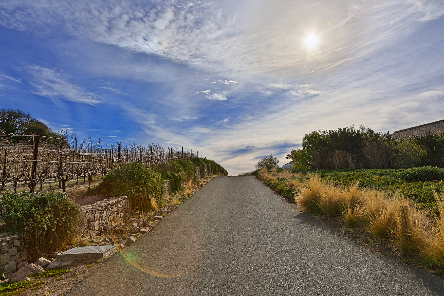 Sonoma country road - hdr photo