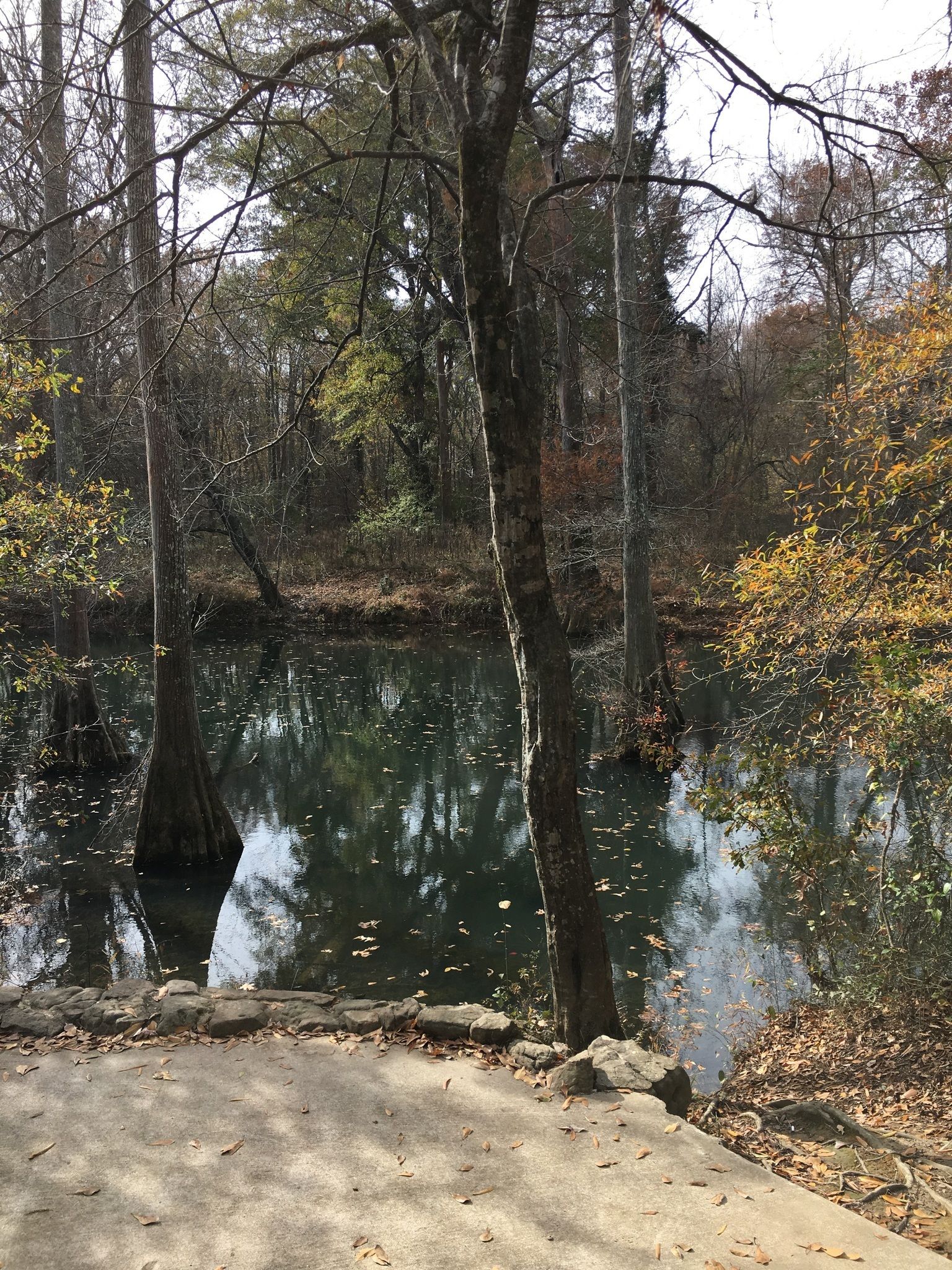 Arkansas Arboretum Trail - Arkansas | AllTrails