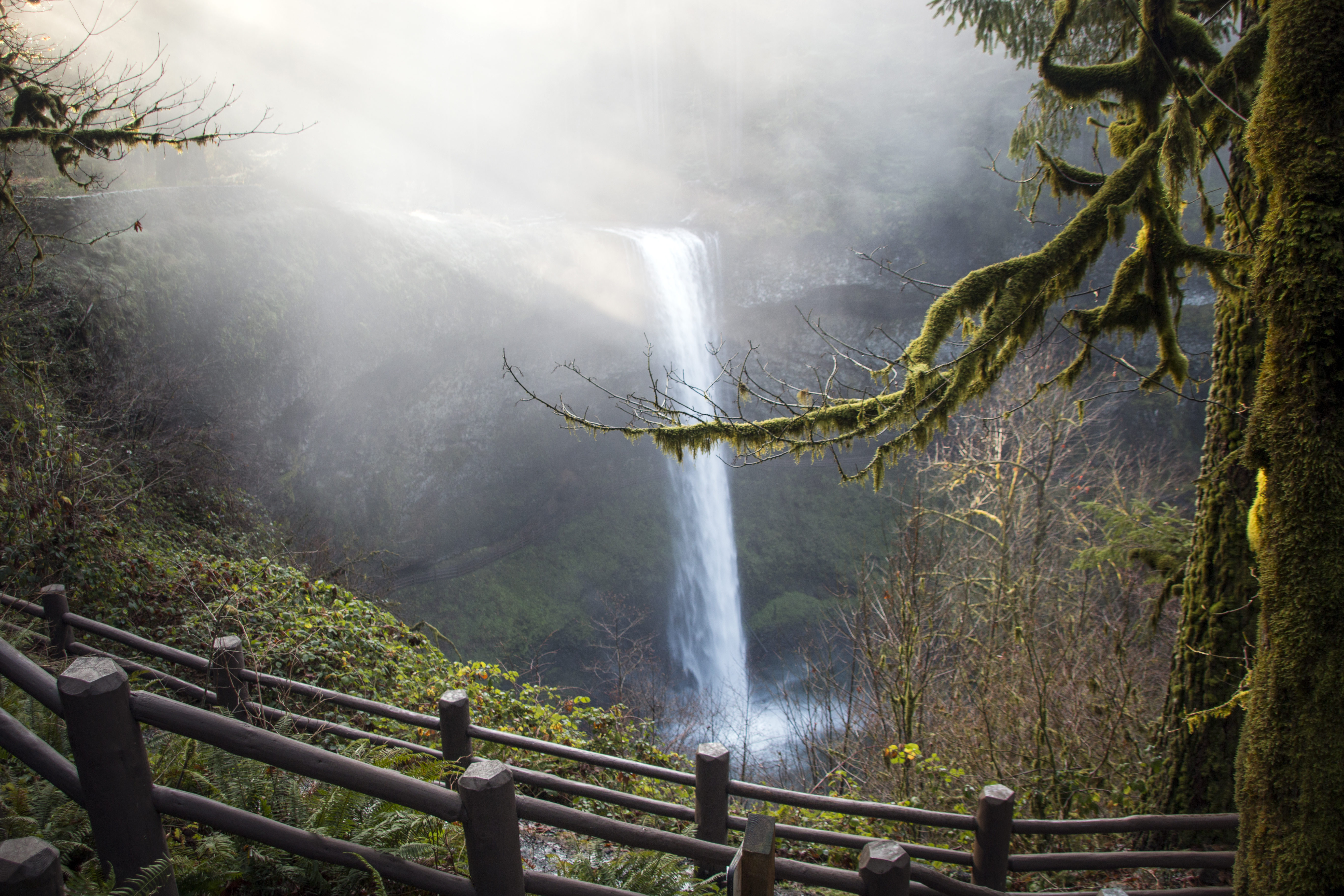 South Falls, Silver Falls Park, Oregon, Winter, Fog, Fog, Forest, Grass, Landscape, HQ Photo