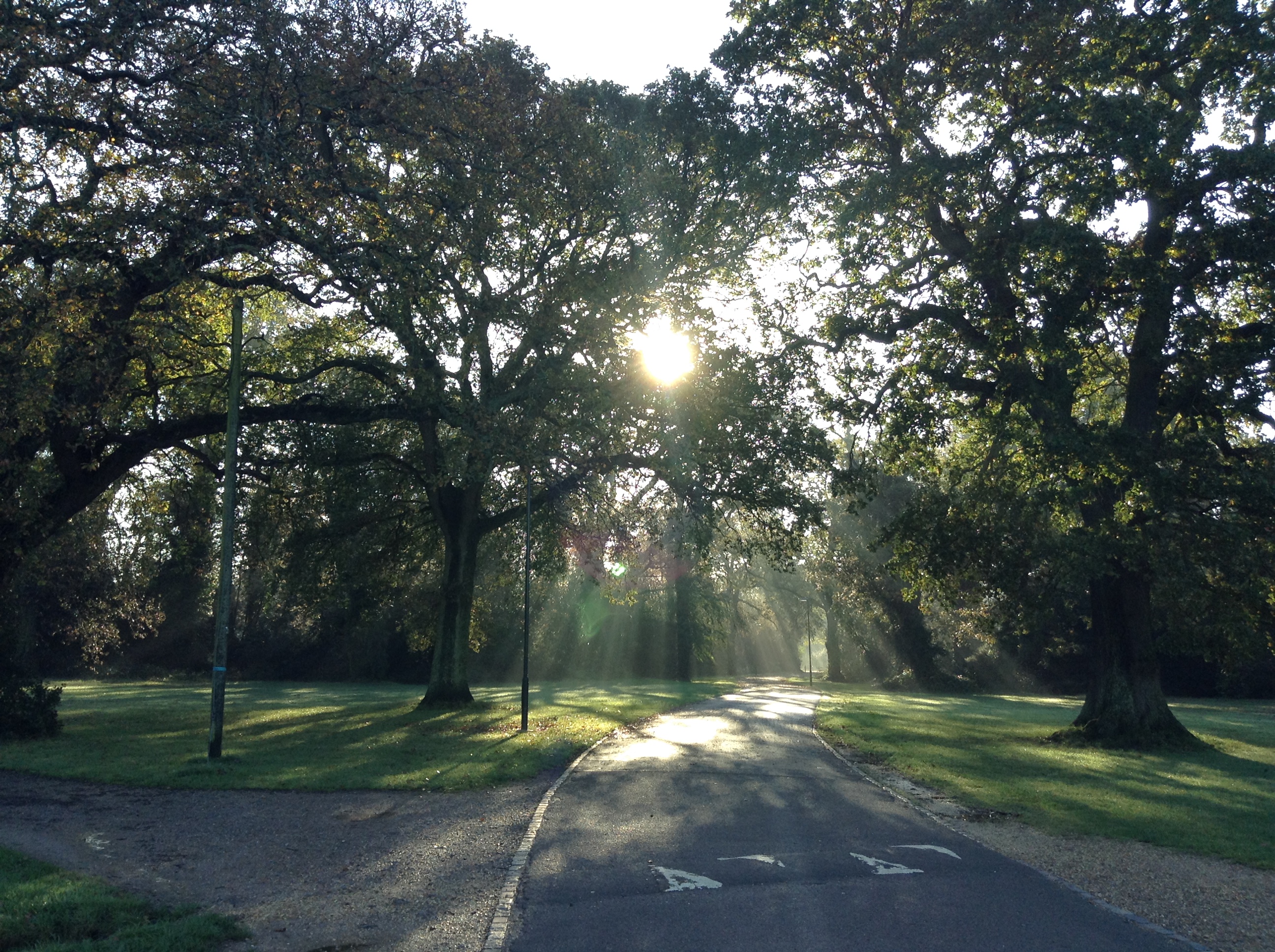 Southampton morning sun rays photo