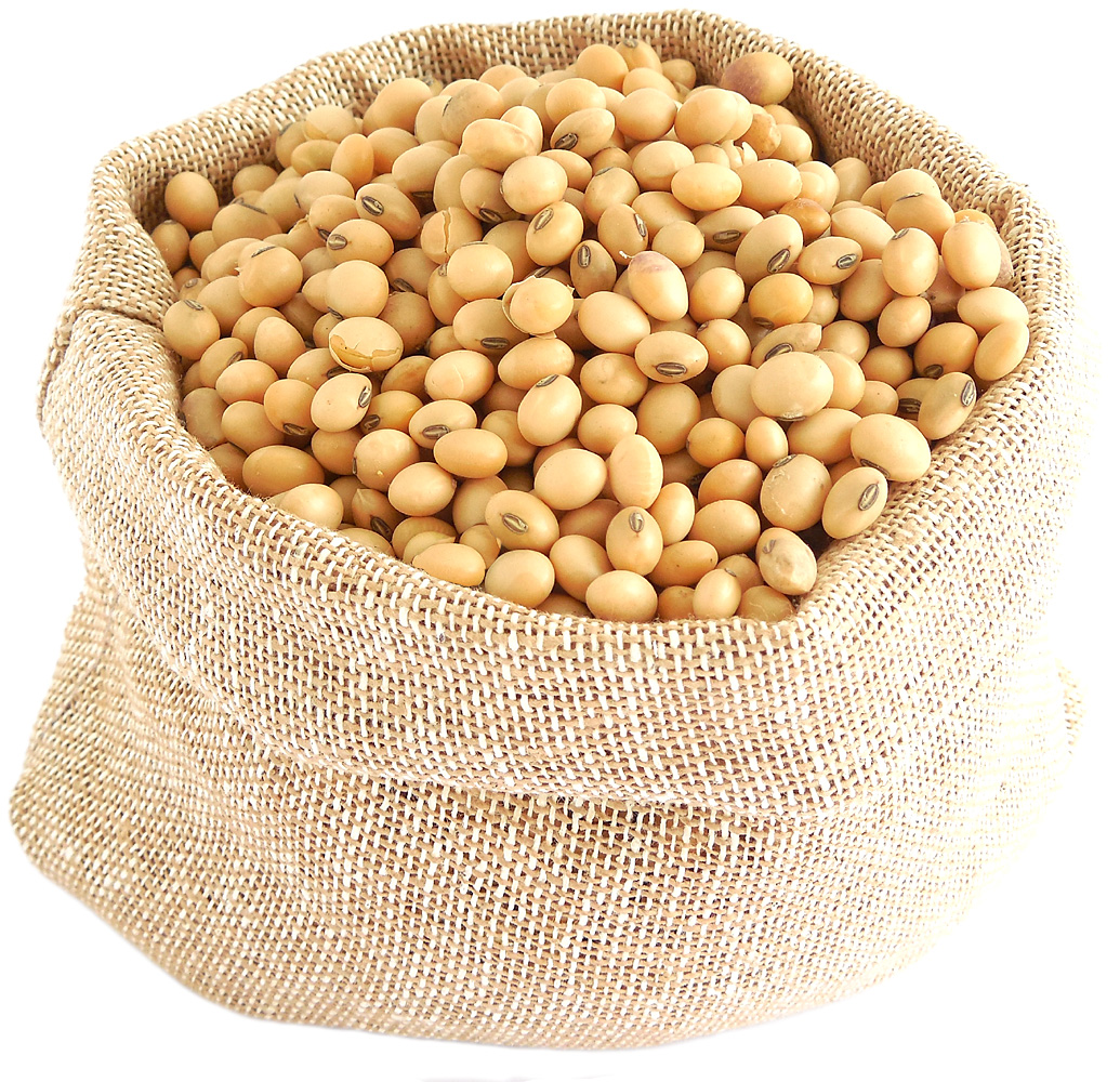 Soy beans photo