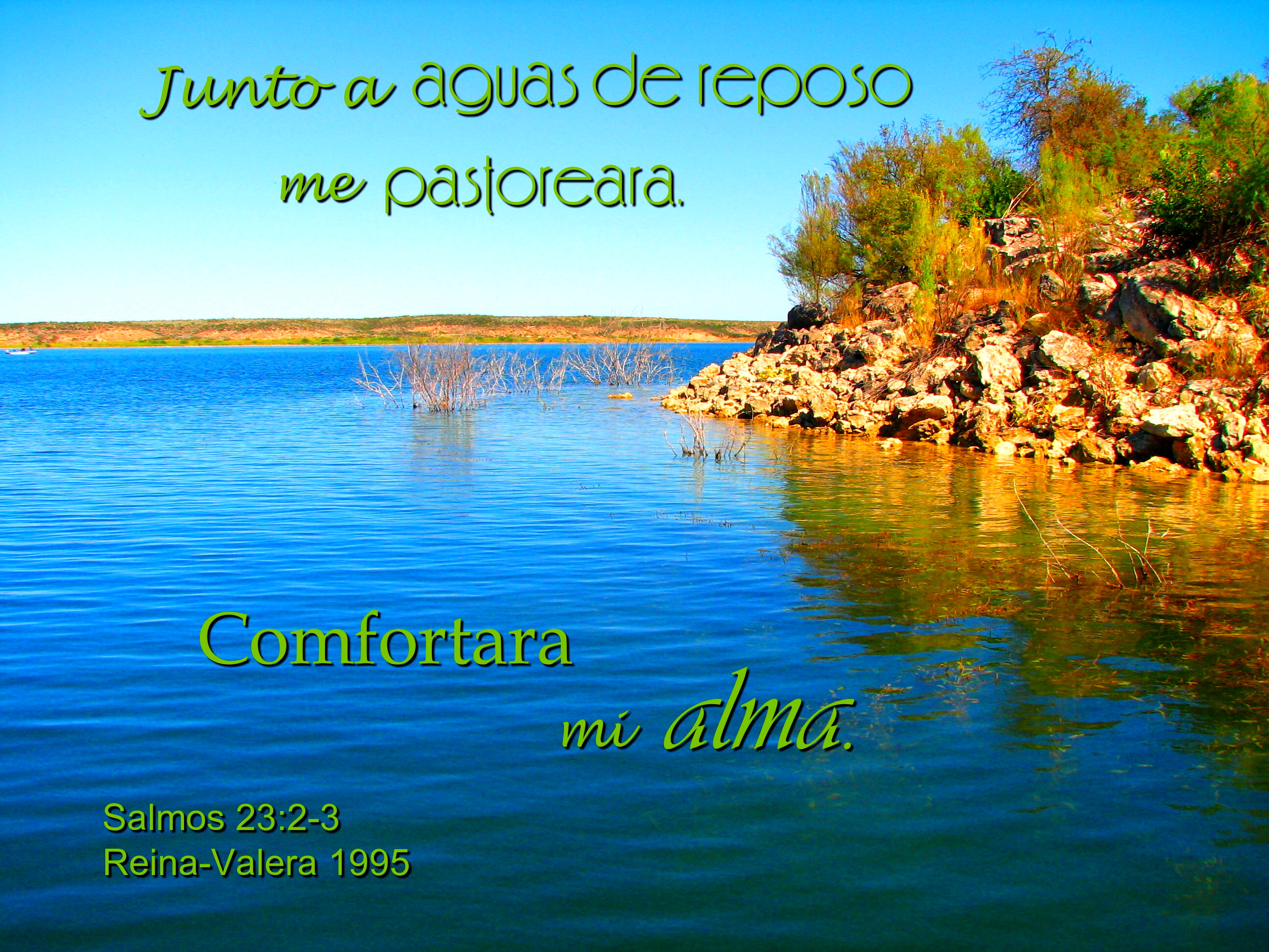 Spanish text comfortara mi alma photo