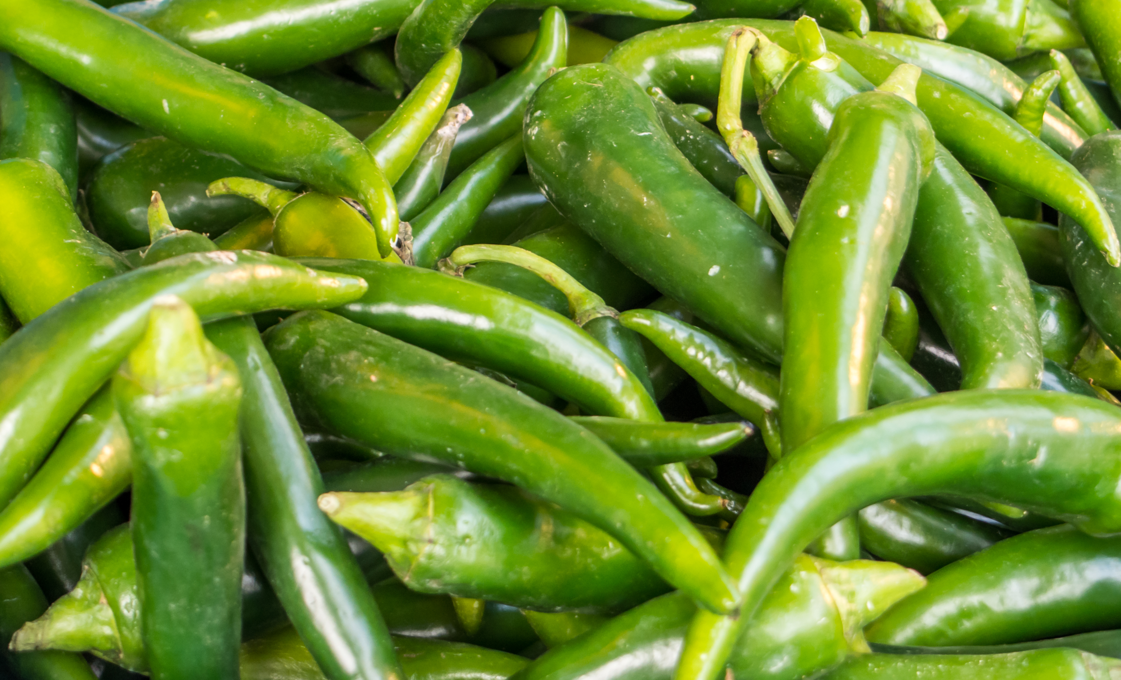 Spicy green hot chili peppers photo