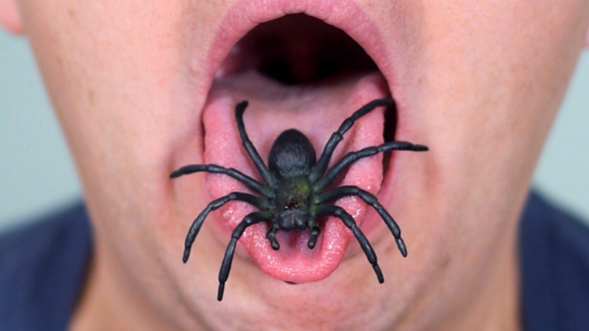 SPIDER IN MOUTH! - YouTube