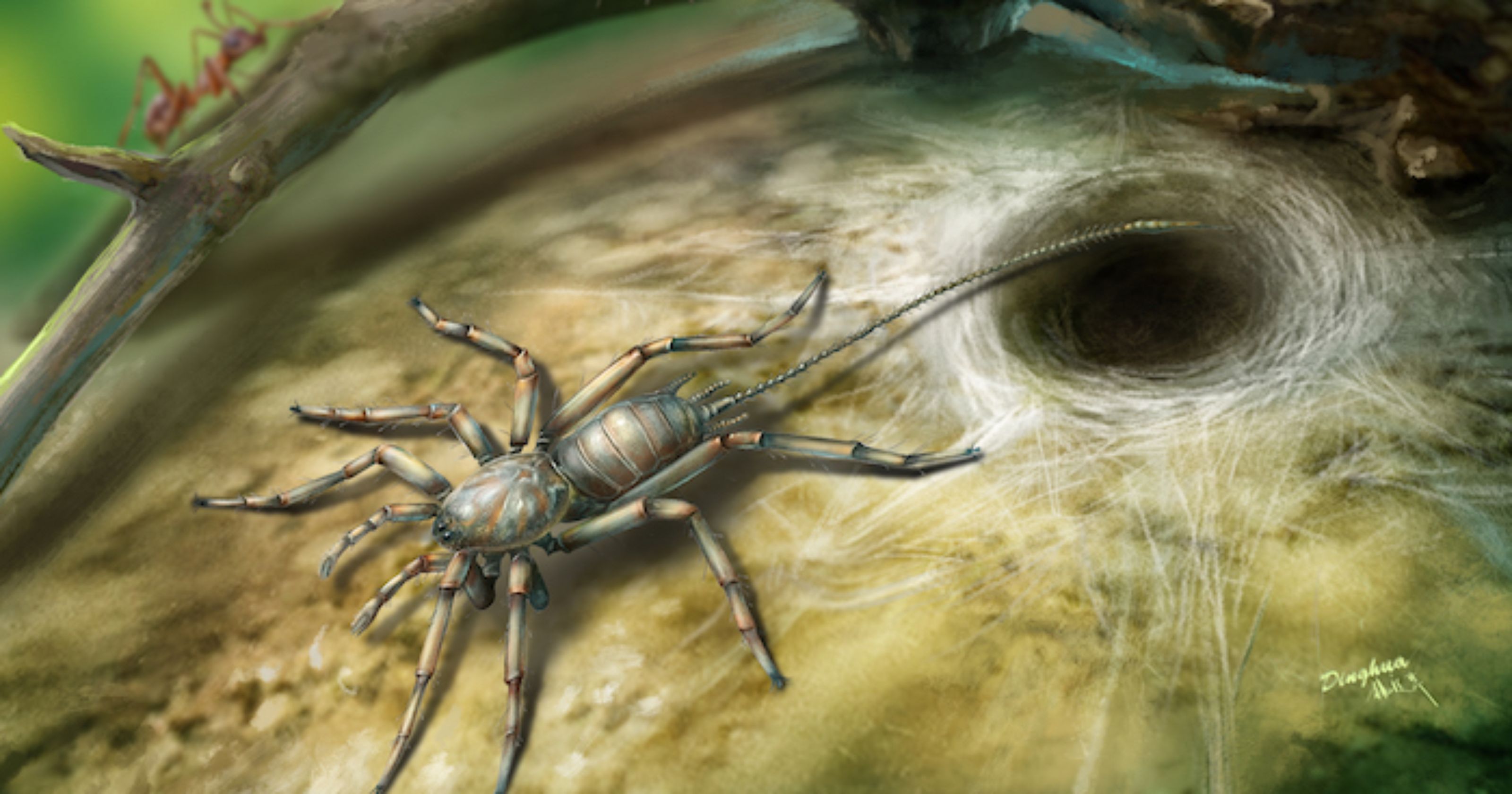 Ancient arachnid: 100-million-year-old spider found trapped in amber