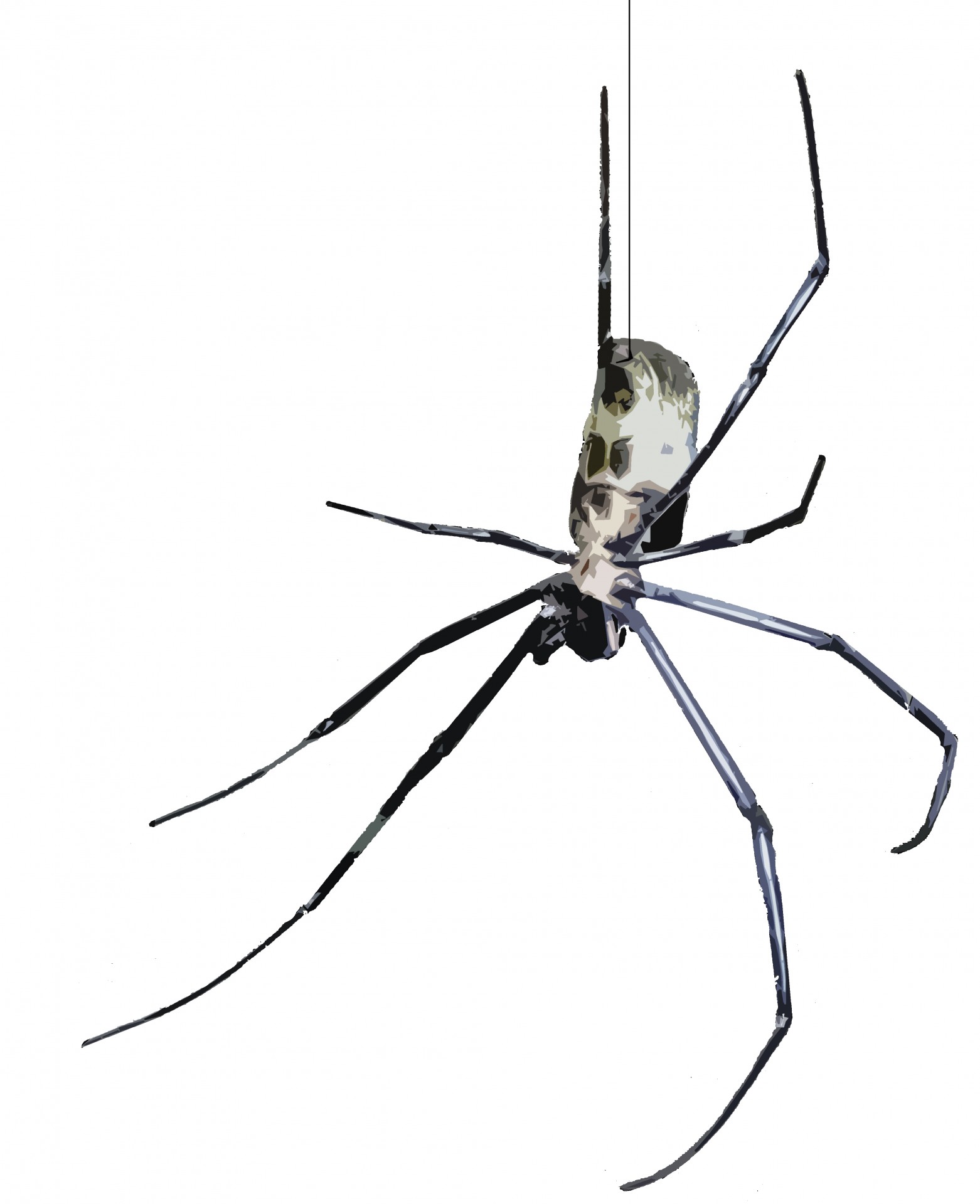 Creepy Spider Illustration Free Stock Photo - Public Domain Pictures