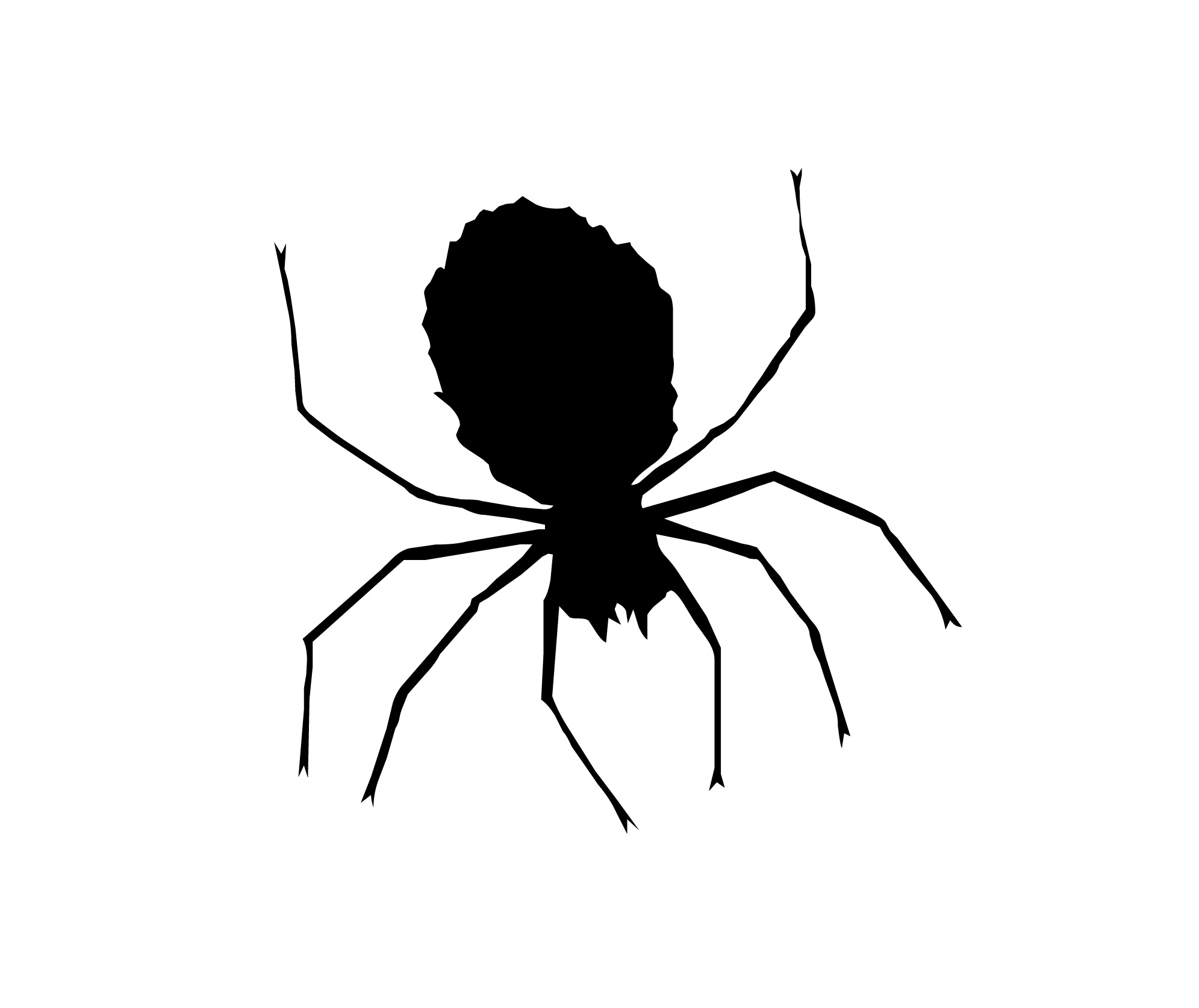 Image of clipart spider | CreepyHalloweenImages
